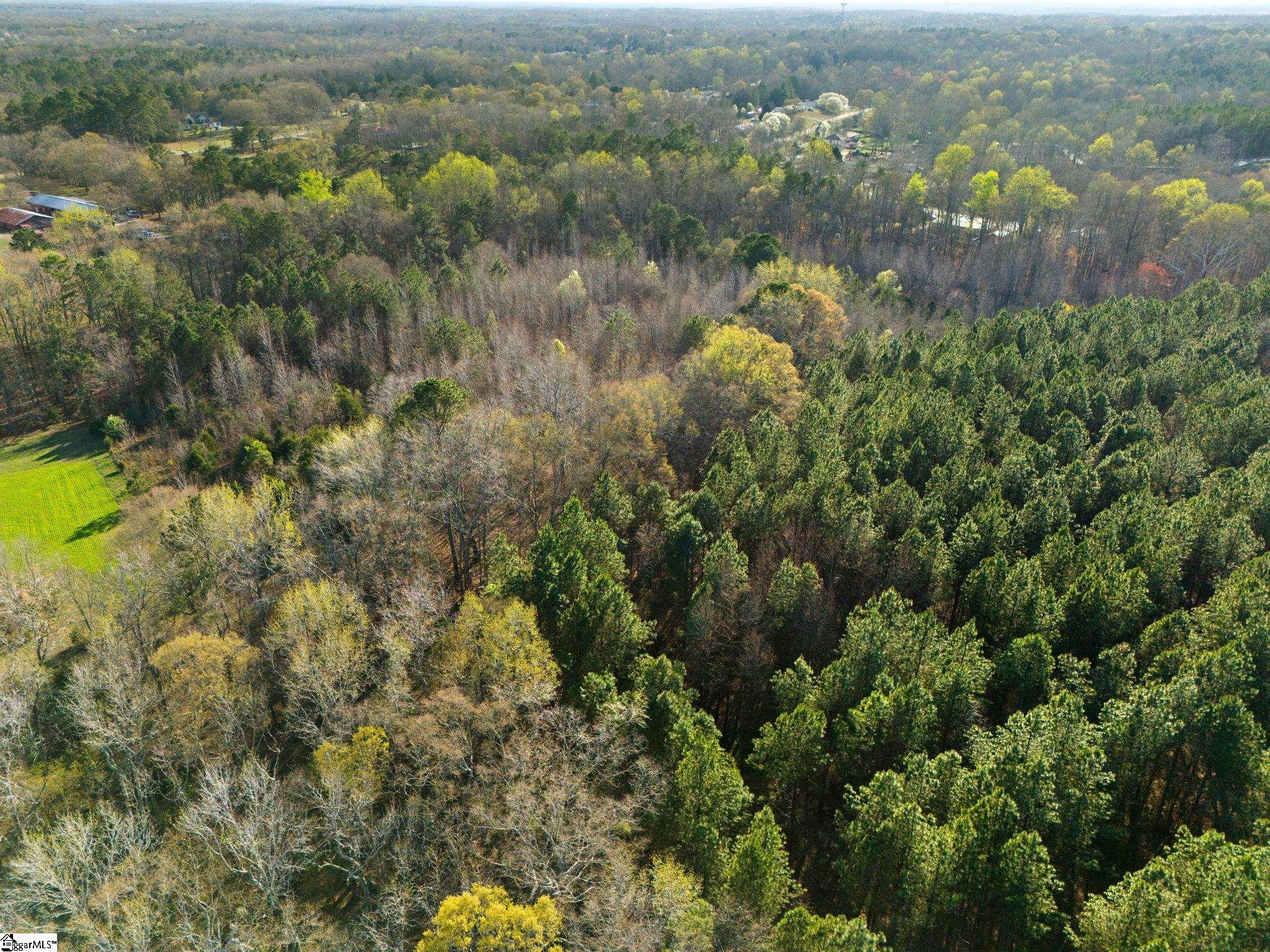 00 Tall Pines Road Property Photo 13