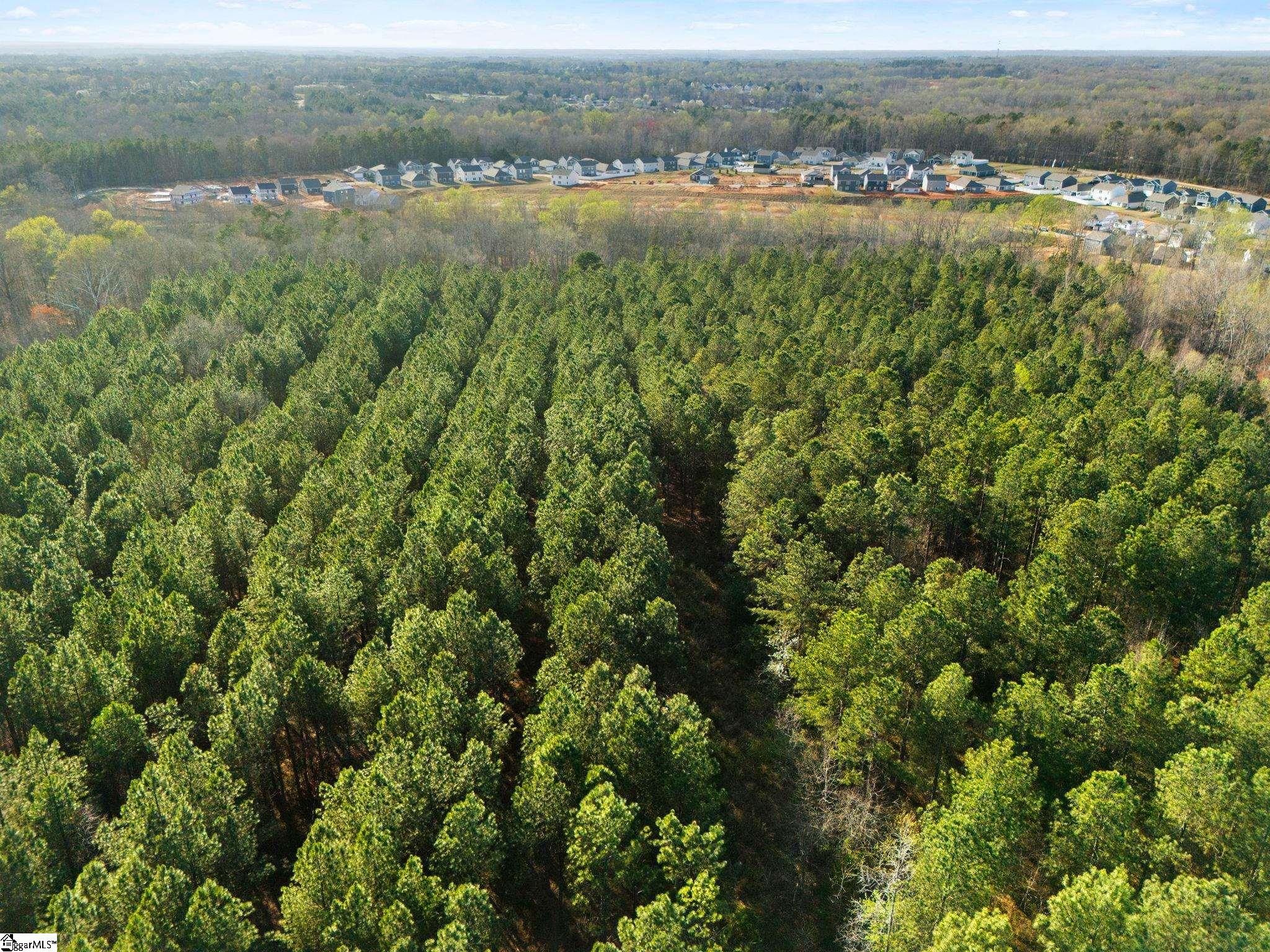 00 Tall Pines Road Property Photo 14
