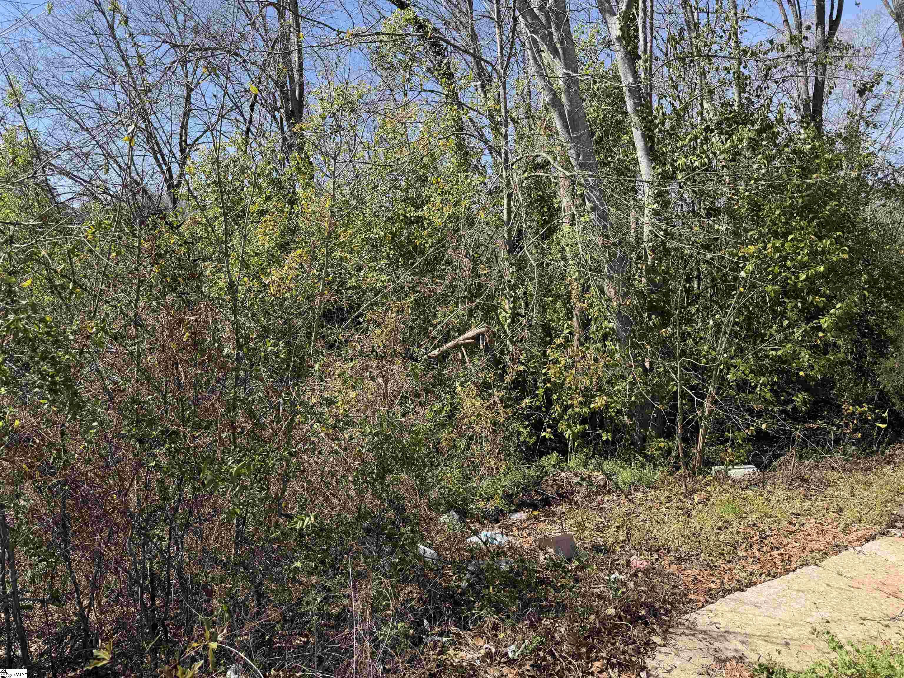 9 Allen Street Property Photo 2