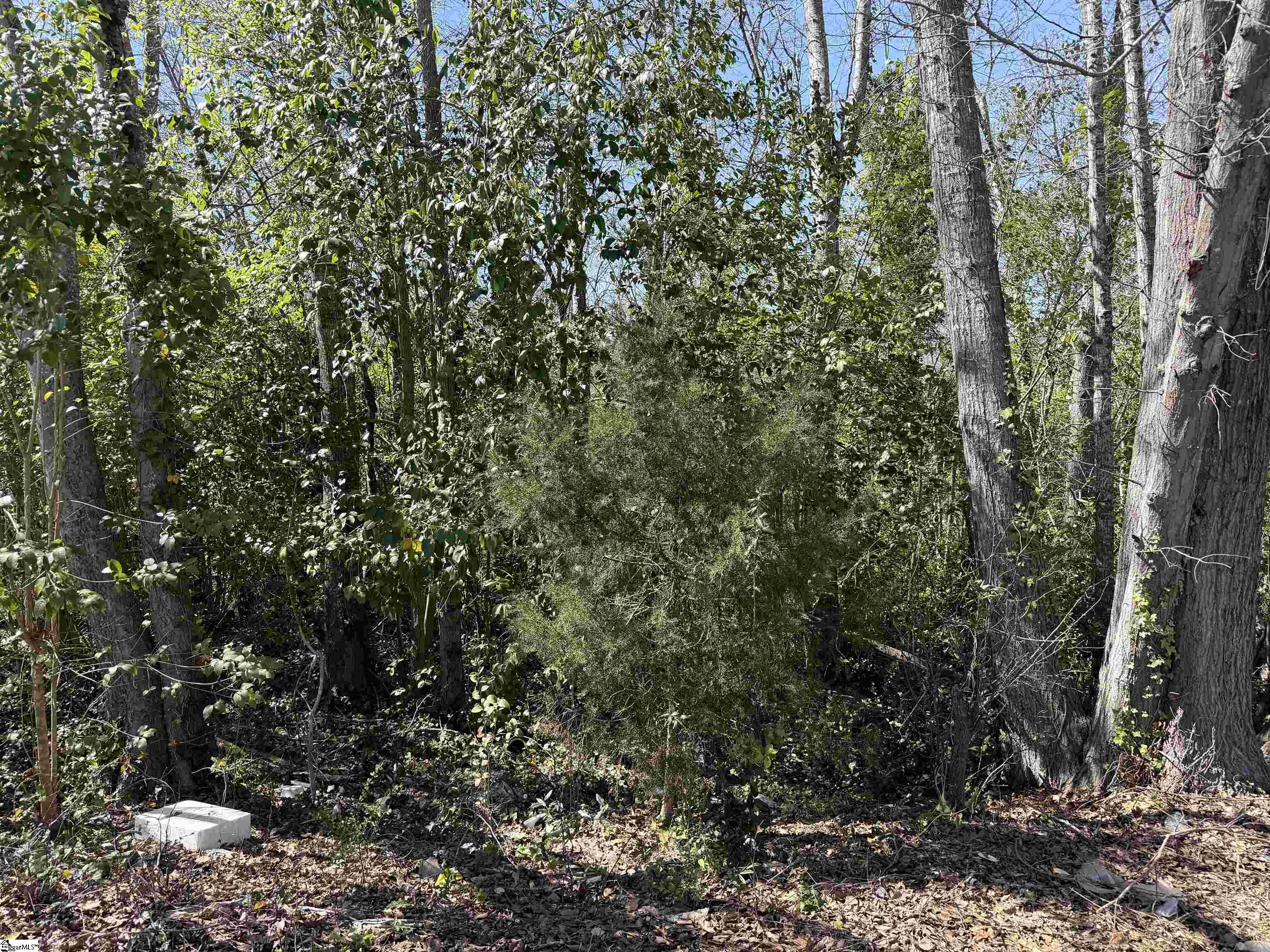 9 Allen Street Property Photo 3