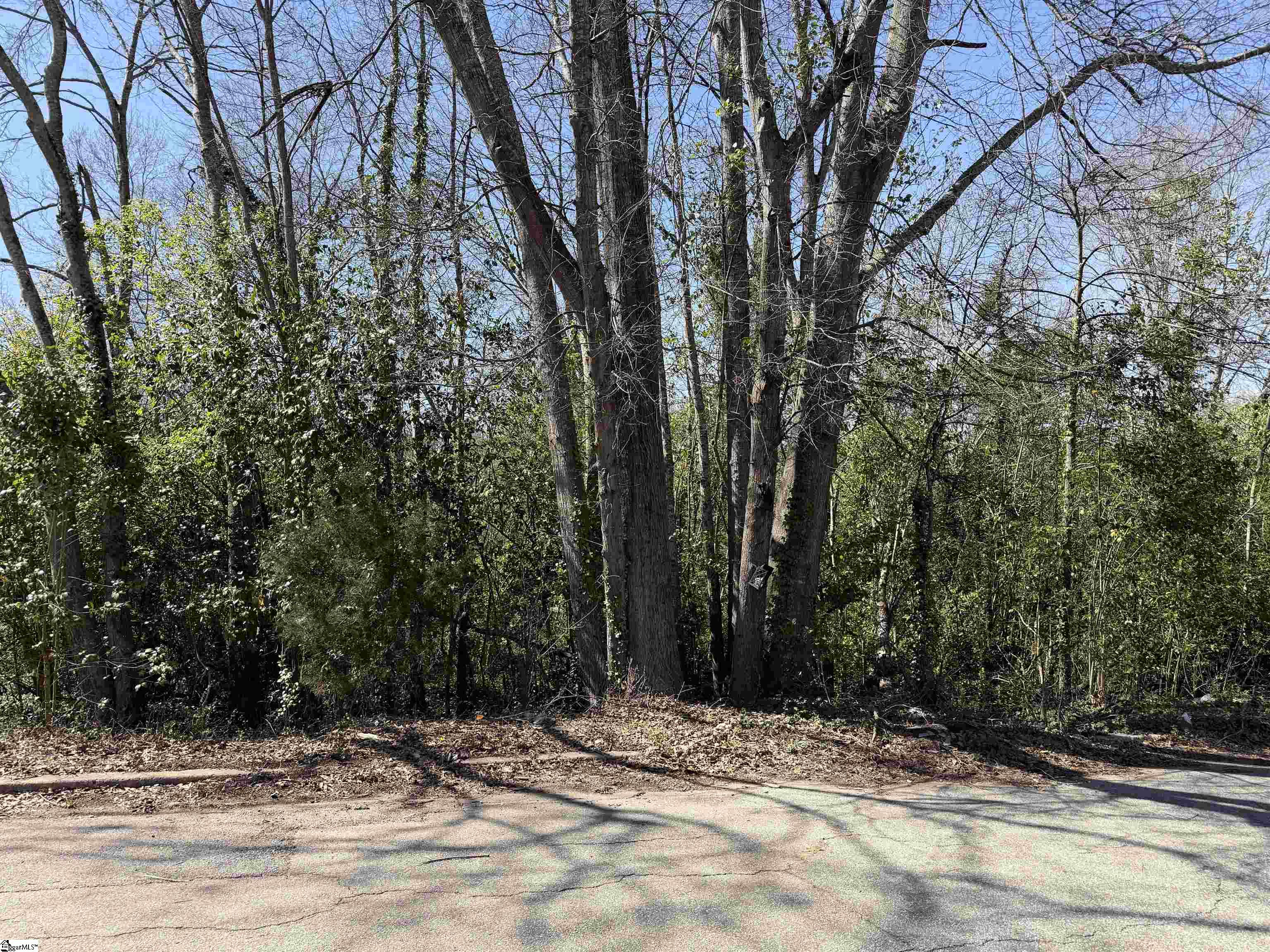 9 Allen Street Property Photo 4