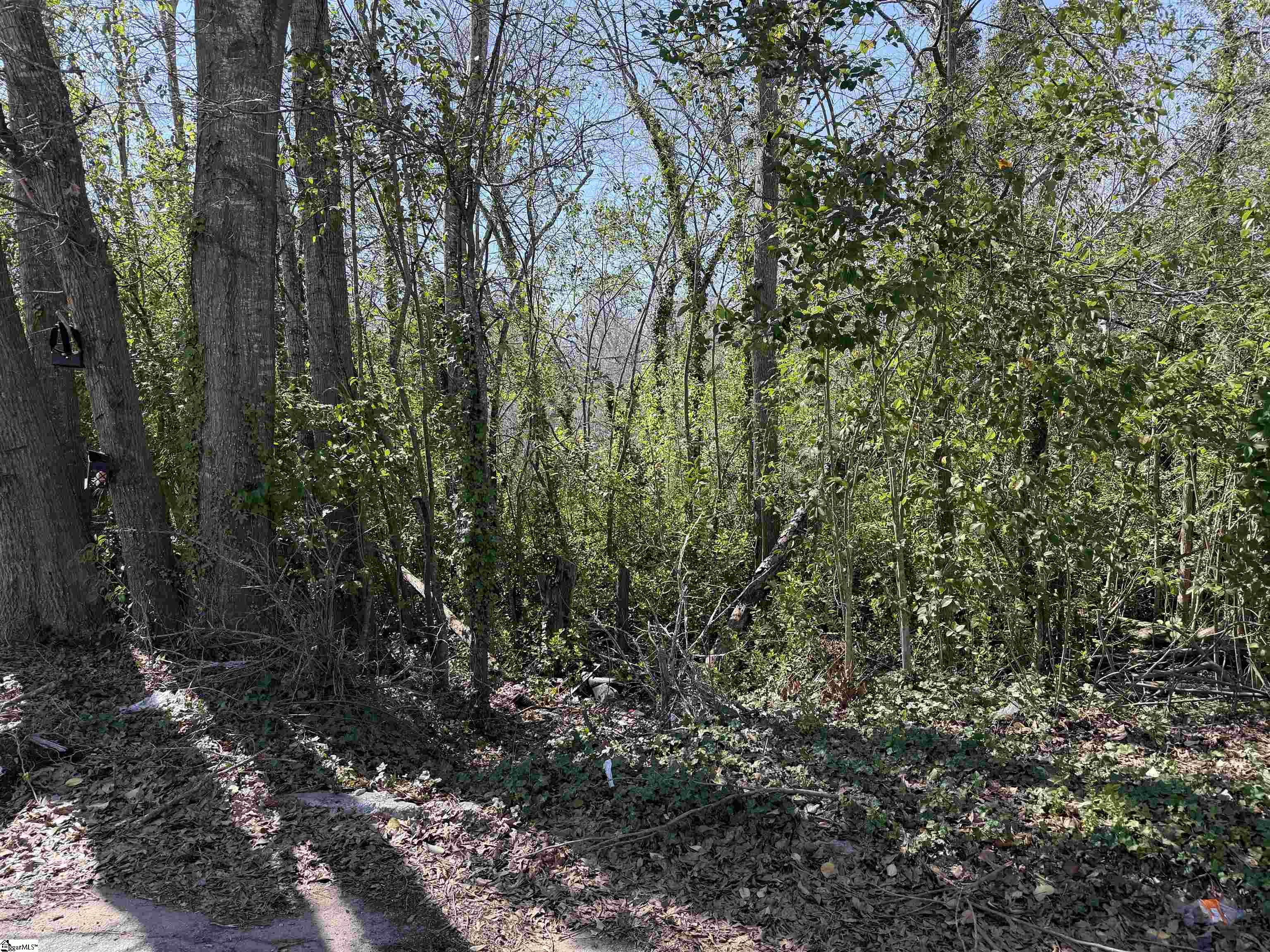9 Allen Street Property Photo 5