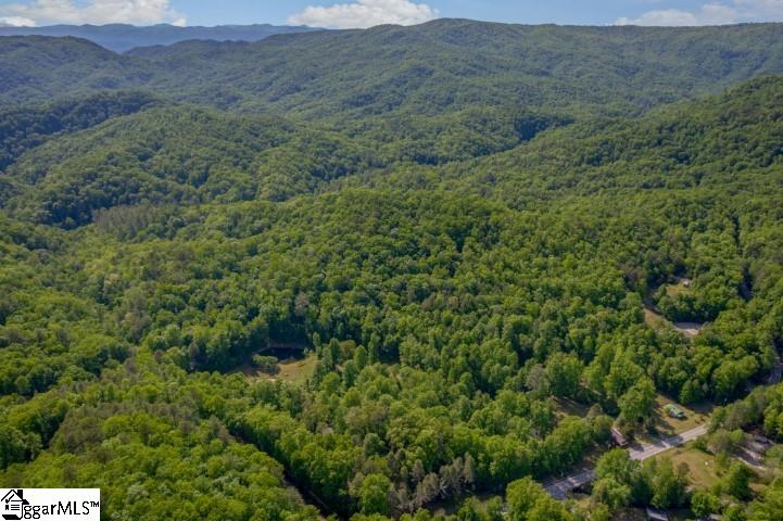 814 Moorefield Memorial Highway Property Photo 34