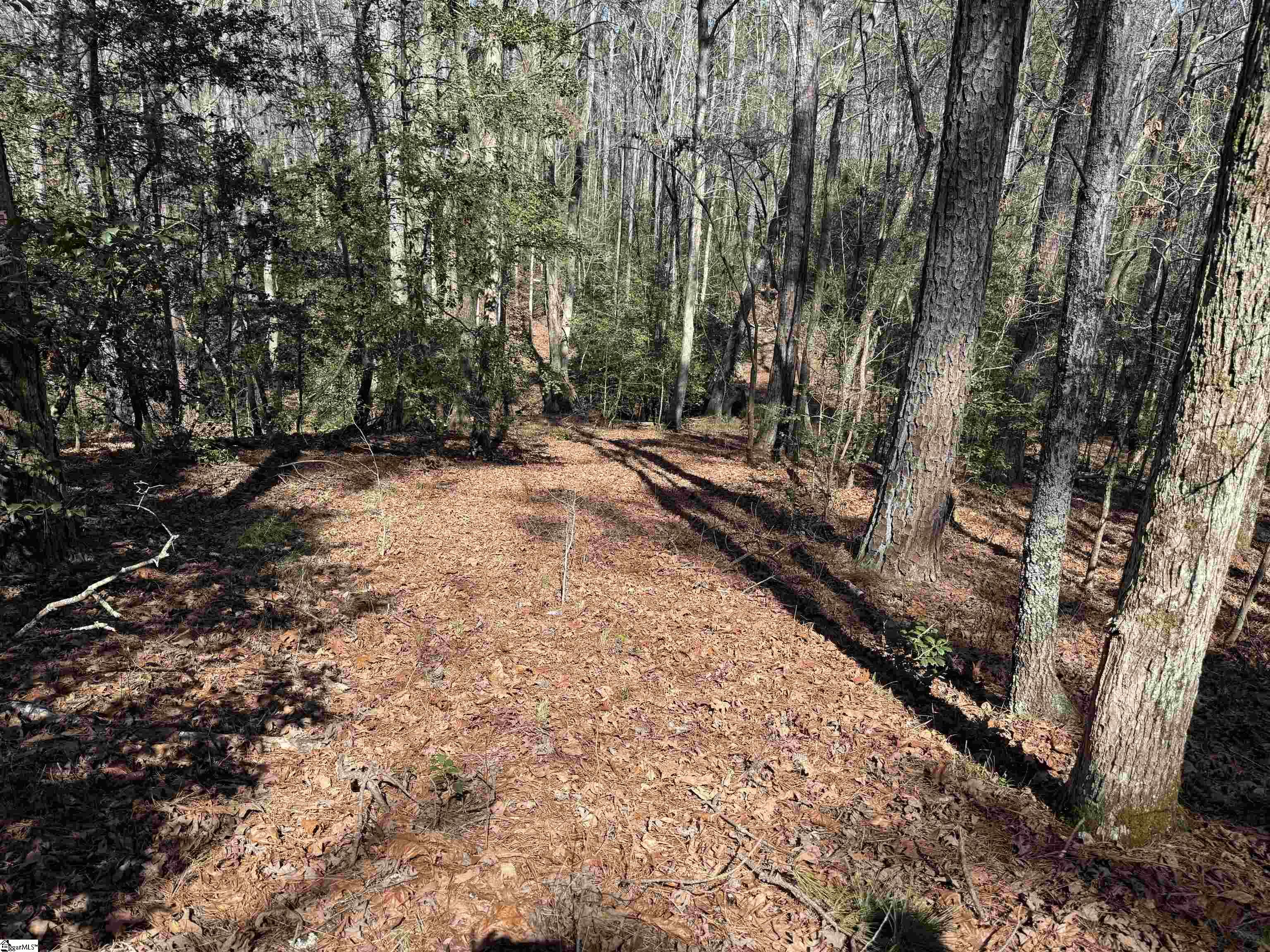 00 Golden Hickory Drive Property Photo 3