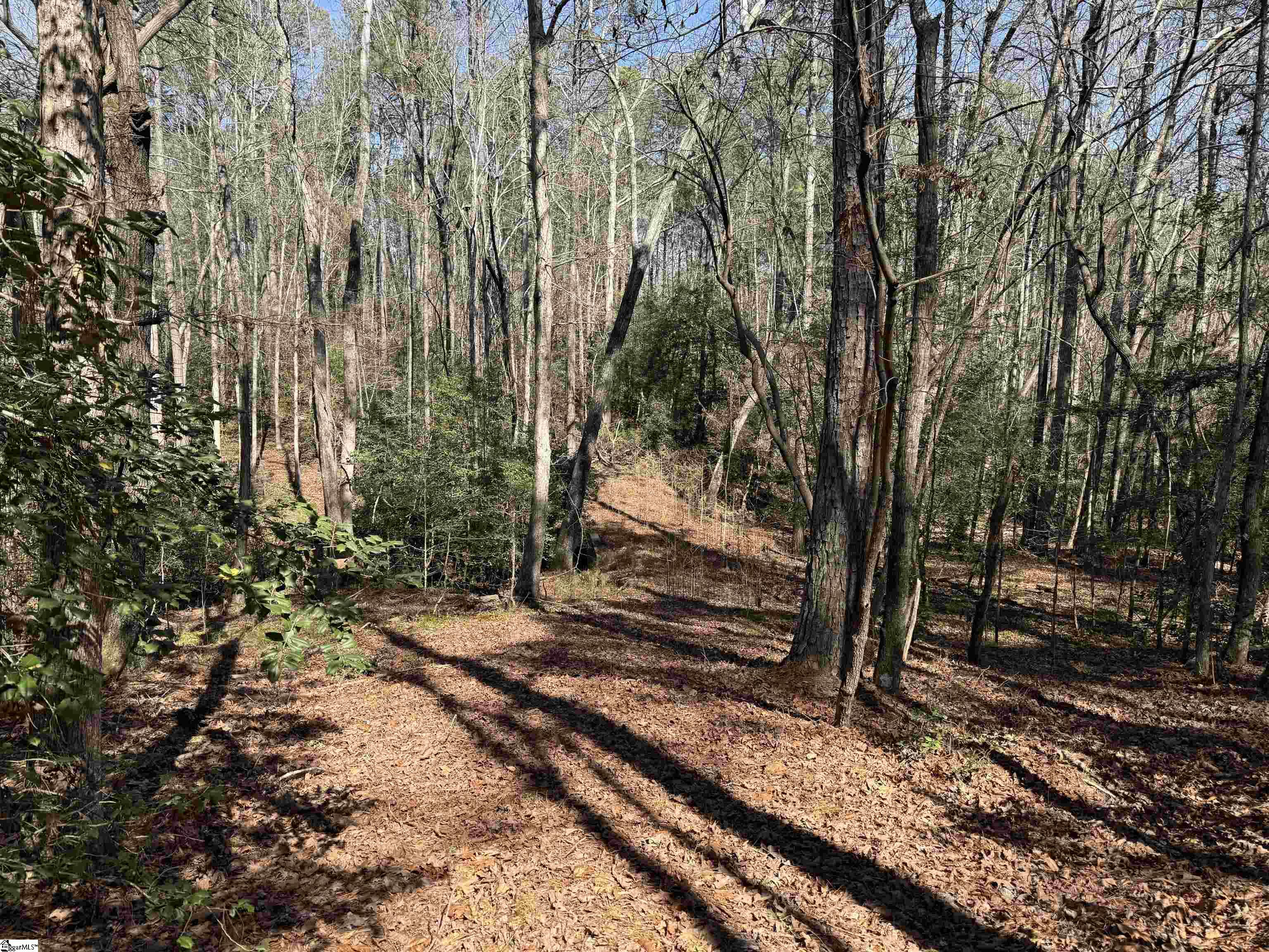 00 Golden Hickory Drive Property Photo 4