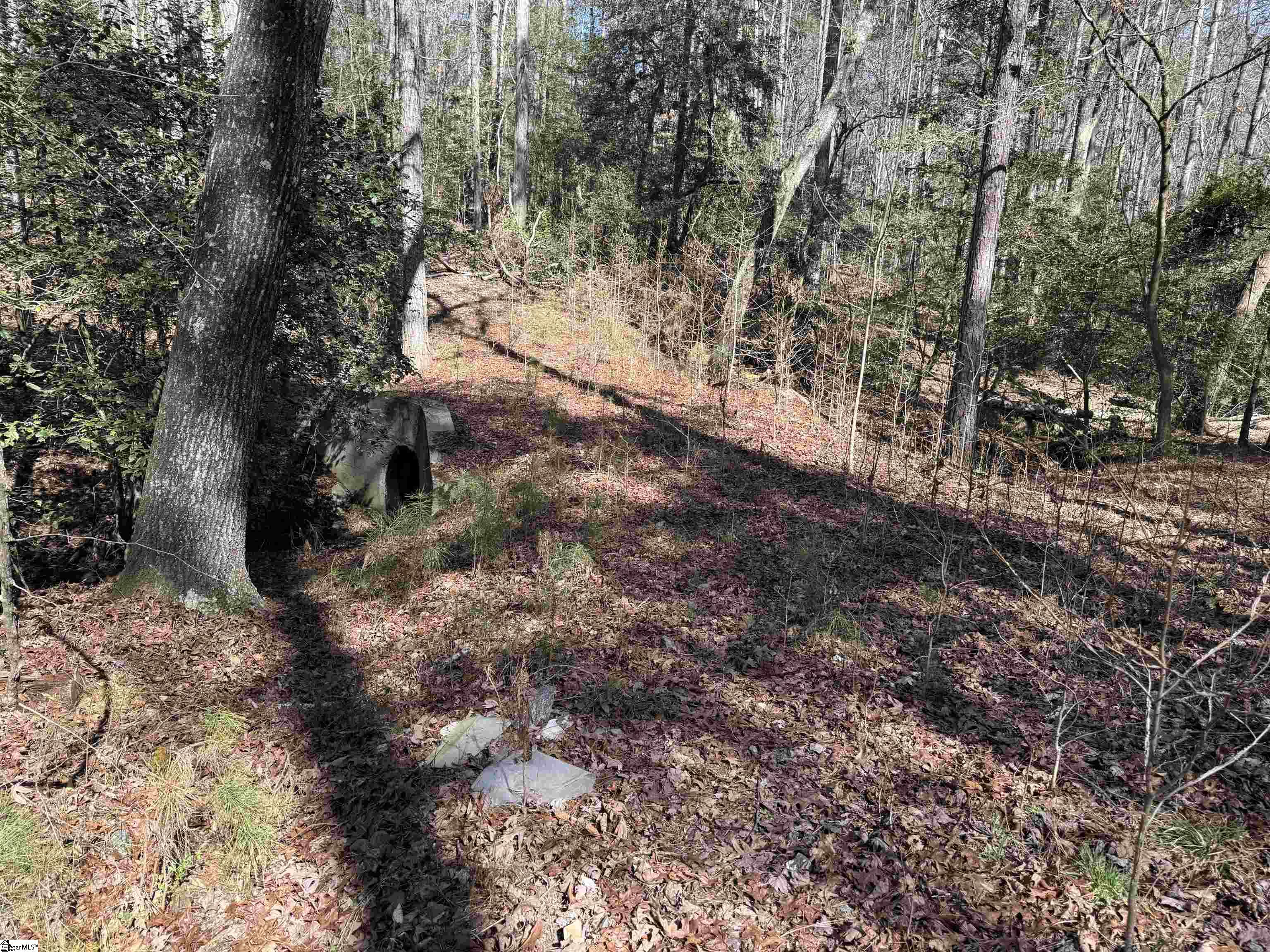 00 Golden Hickory Drive Property Photo 5
