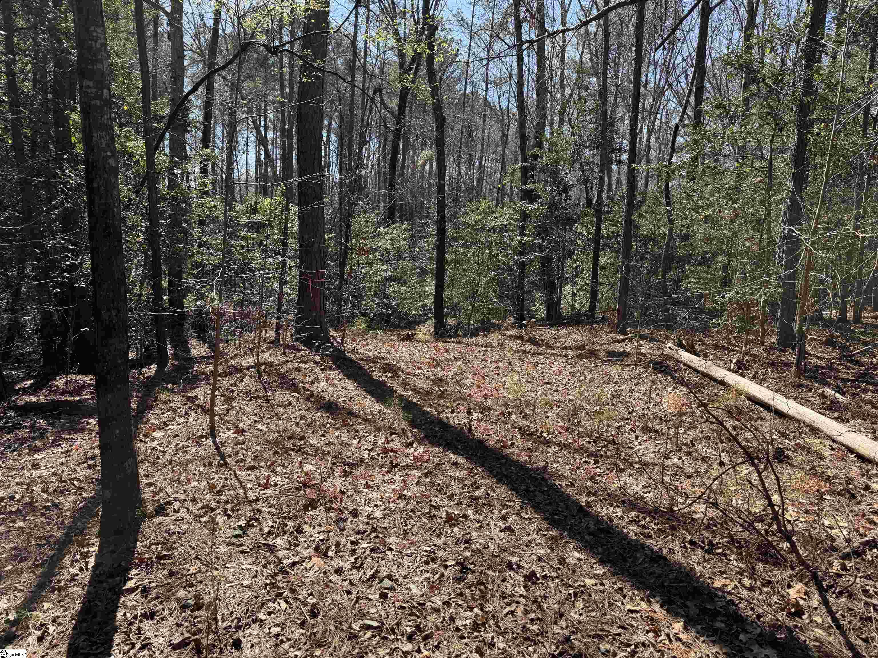 00 Golden Hickory Drive Property Photo 7