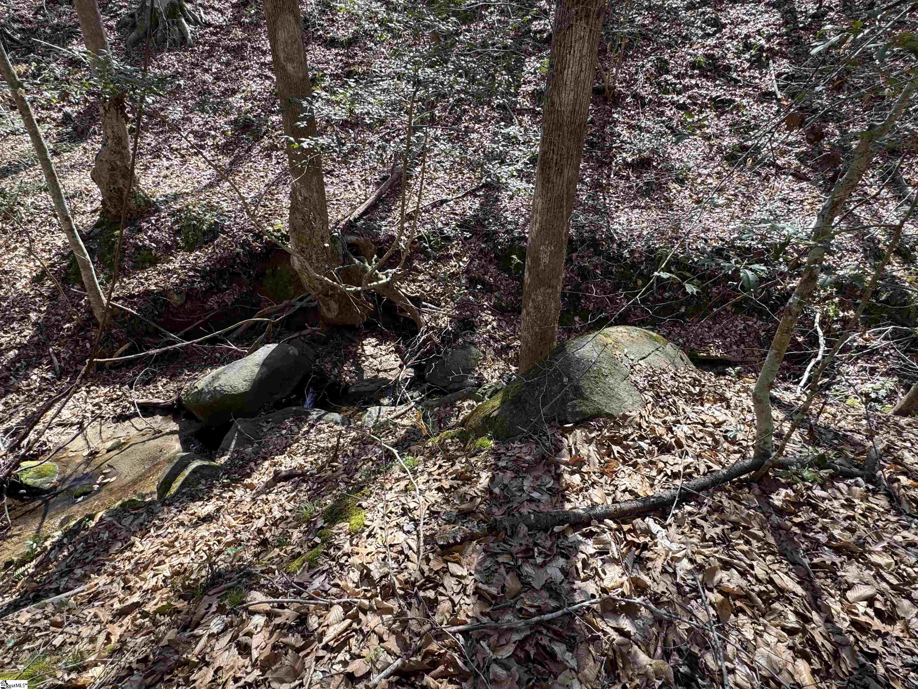 00 Golden Hickory Drive Property Photo 10