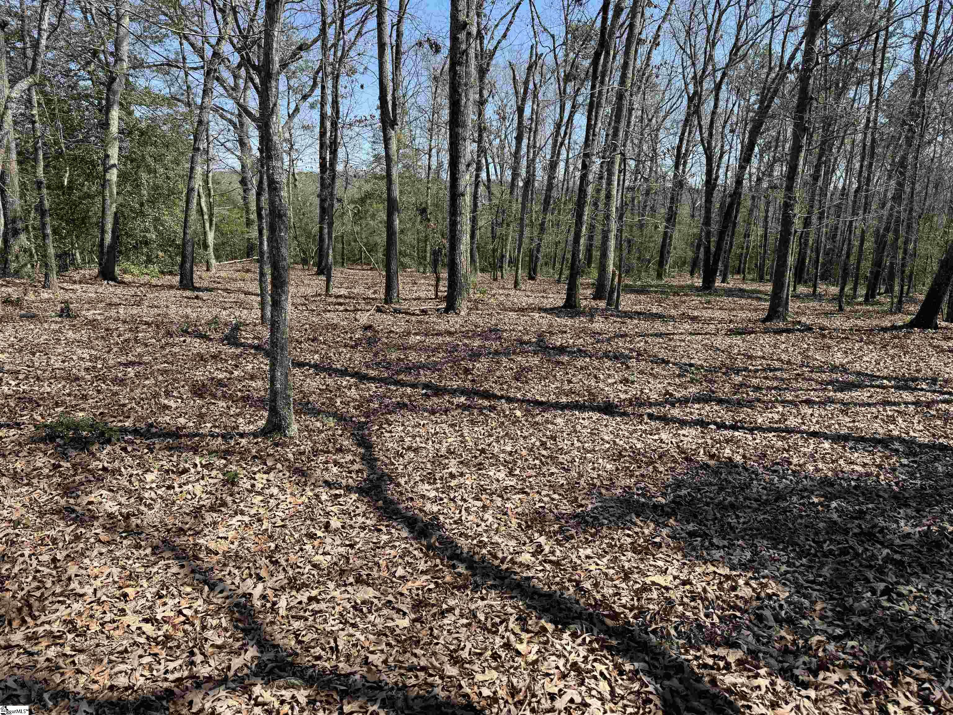 00 Golden Hickory Drive Property Photo 11