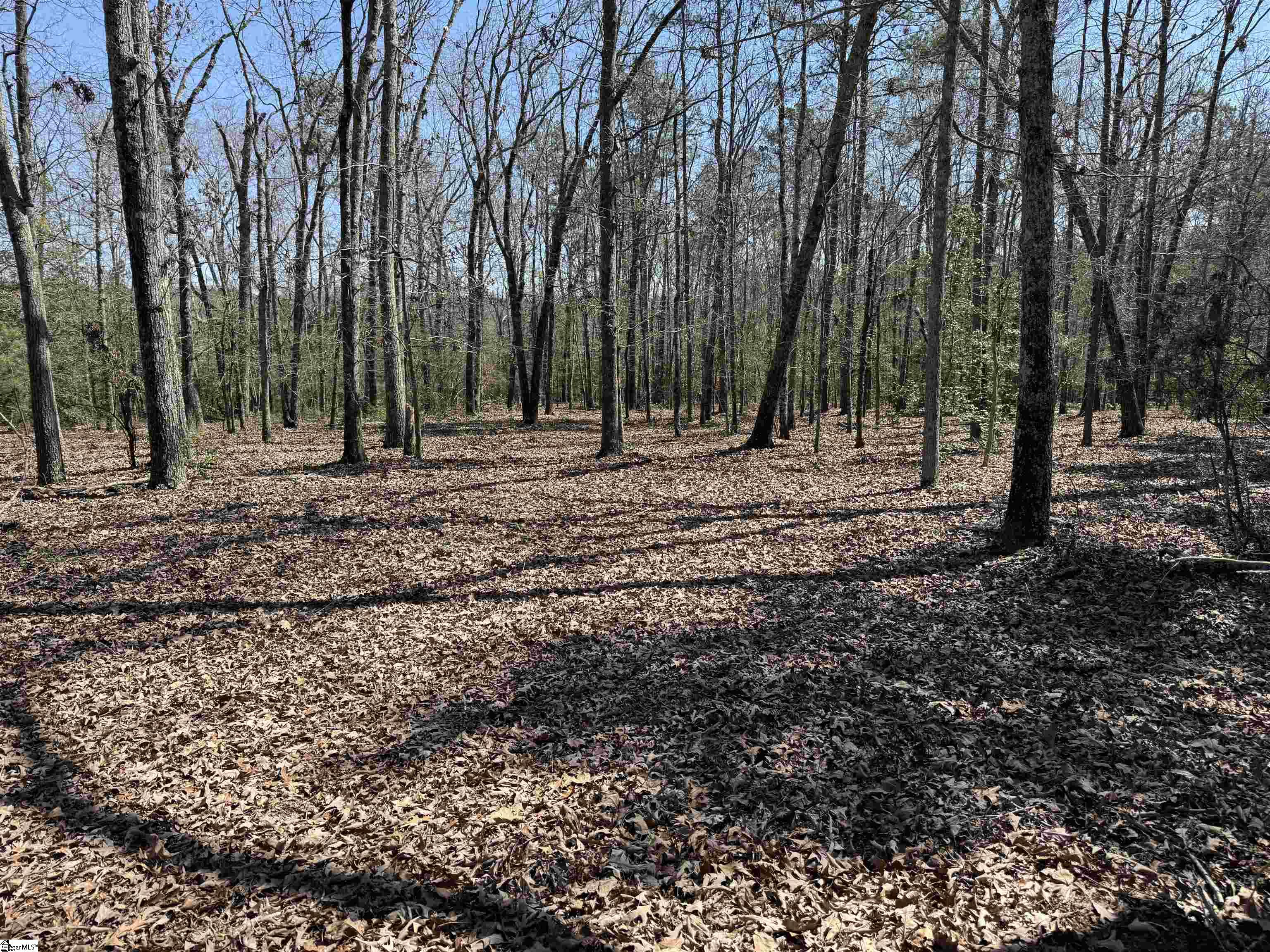 00 Golden Hickory Drive Property Photo 18