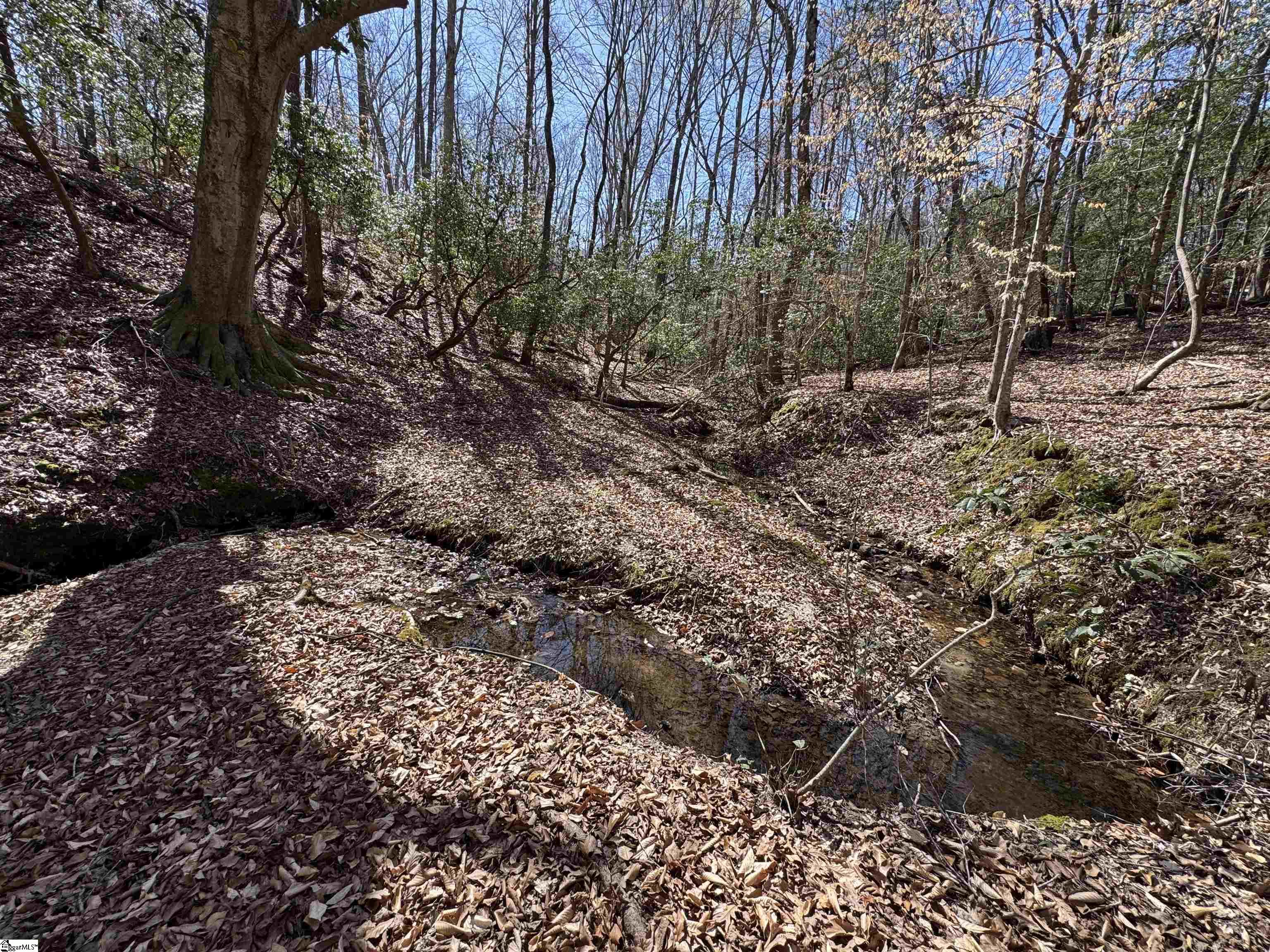00 Golden Hickory Drive Property Photo 19