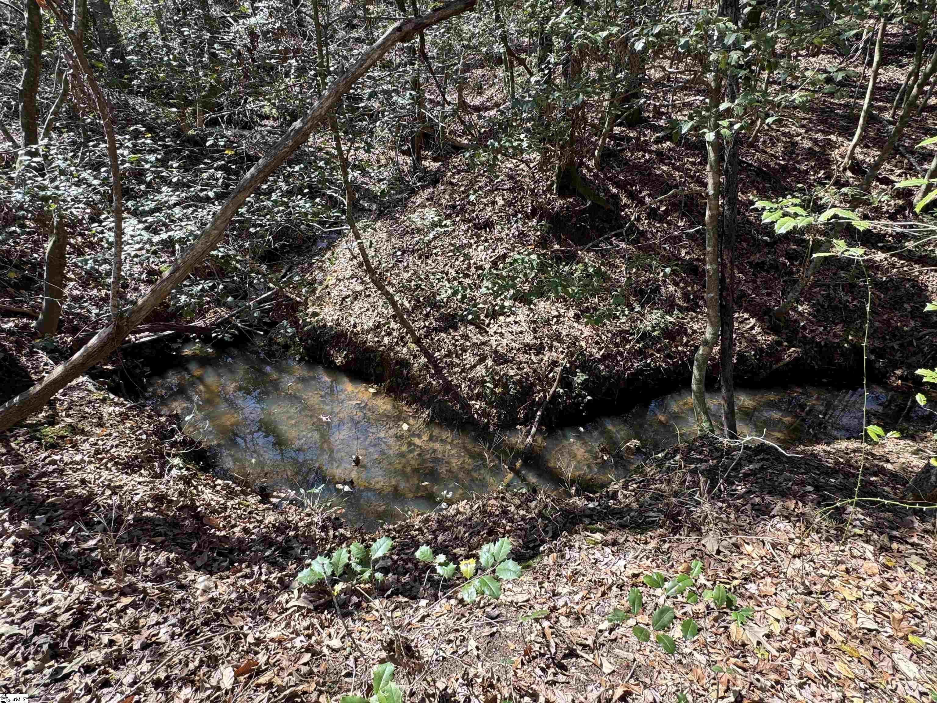 00 Golden Hickory Drive Property Photo 21