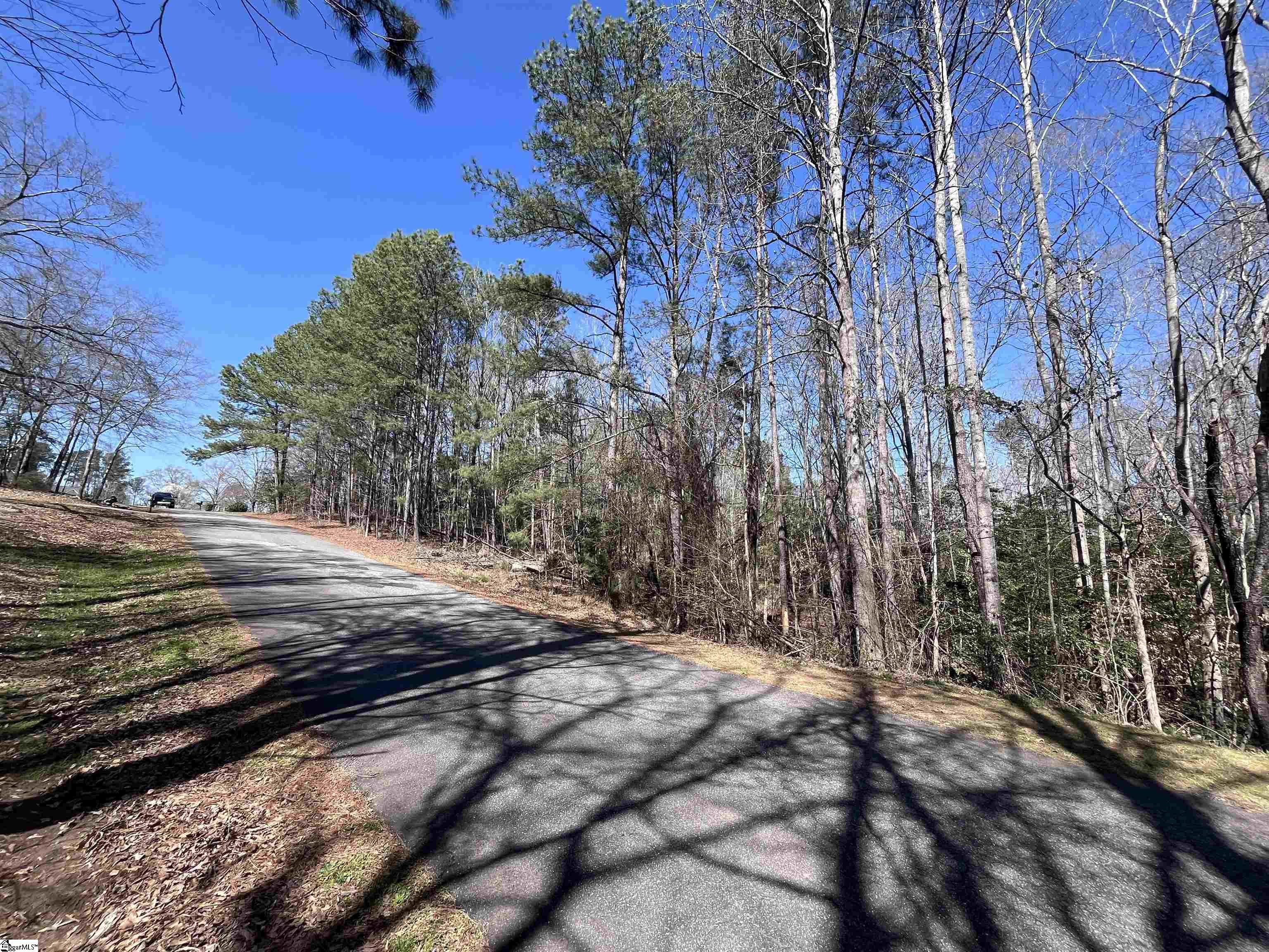 00 Golden Hickory Drive Property Photo 23