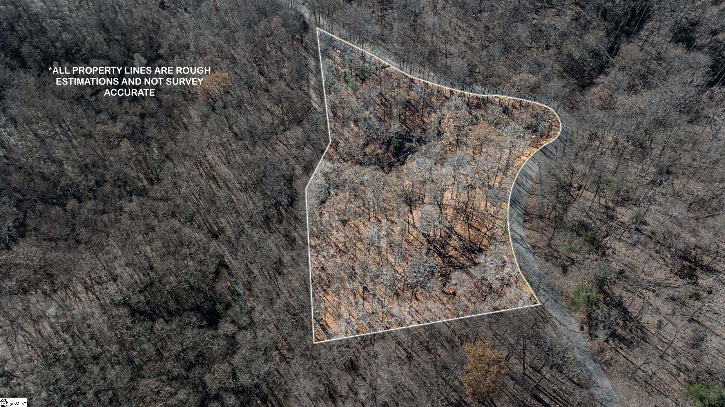 00 Panther Park Trail Property Photo 1
