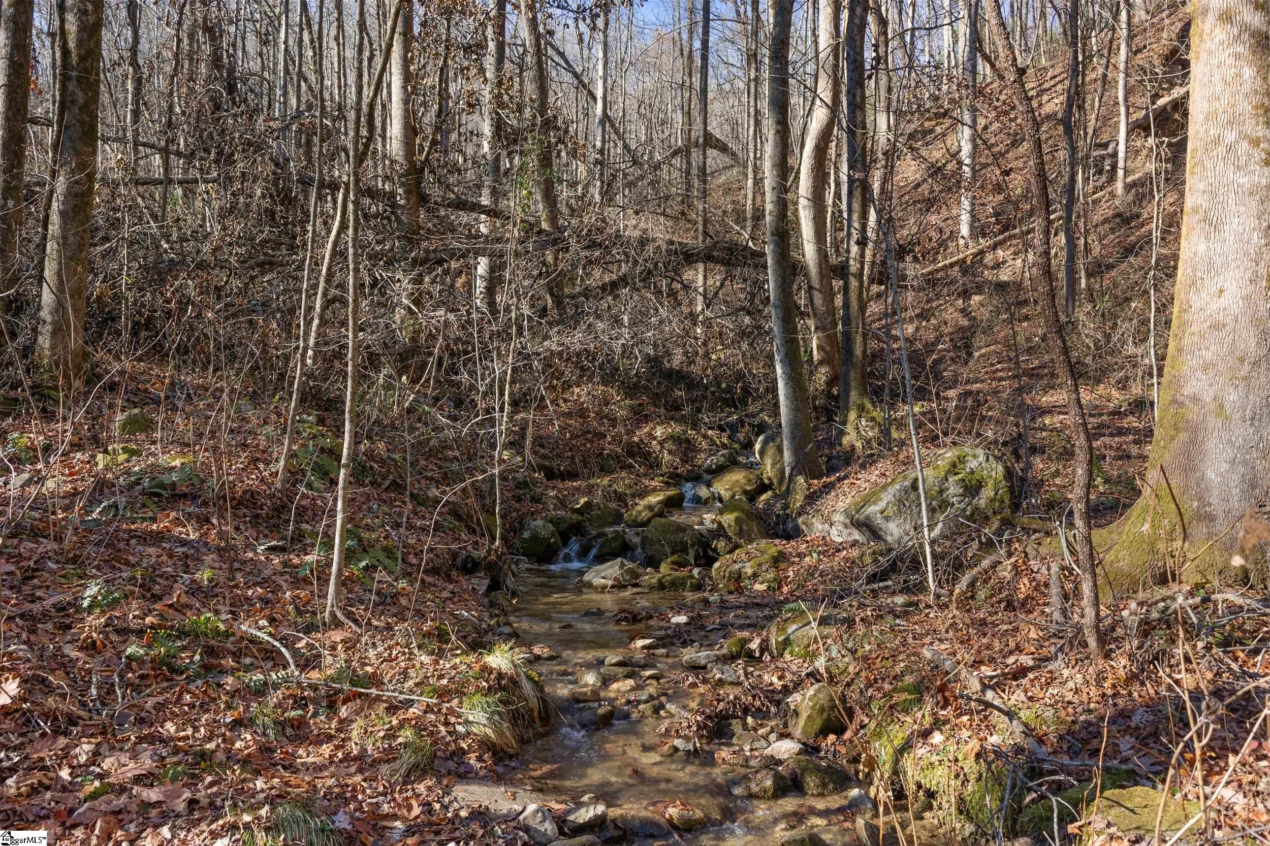 00 Panther Park Trail Property Photo 5