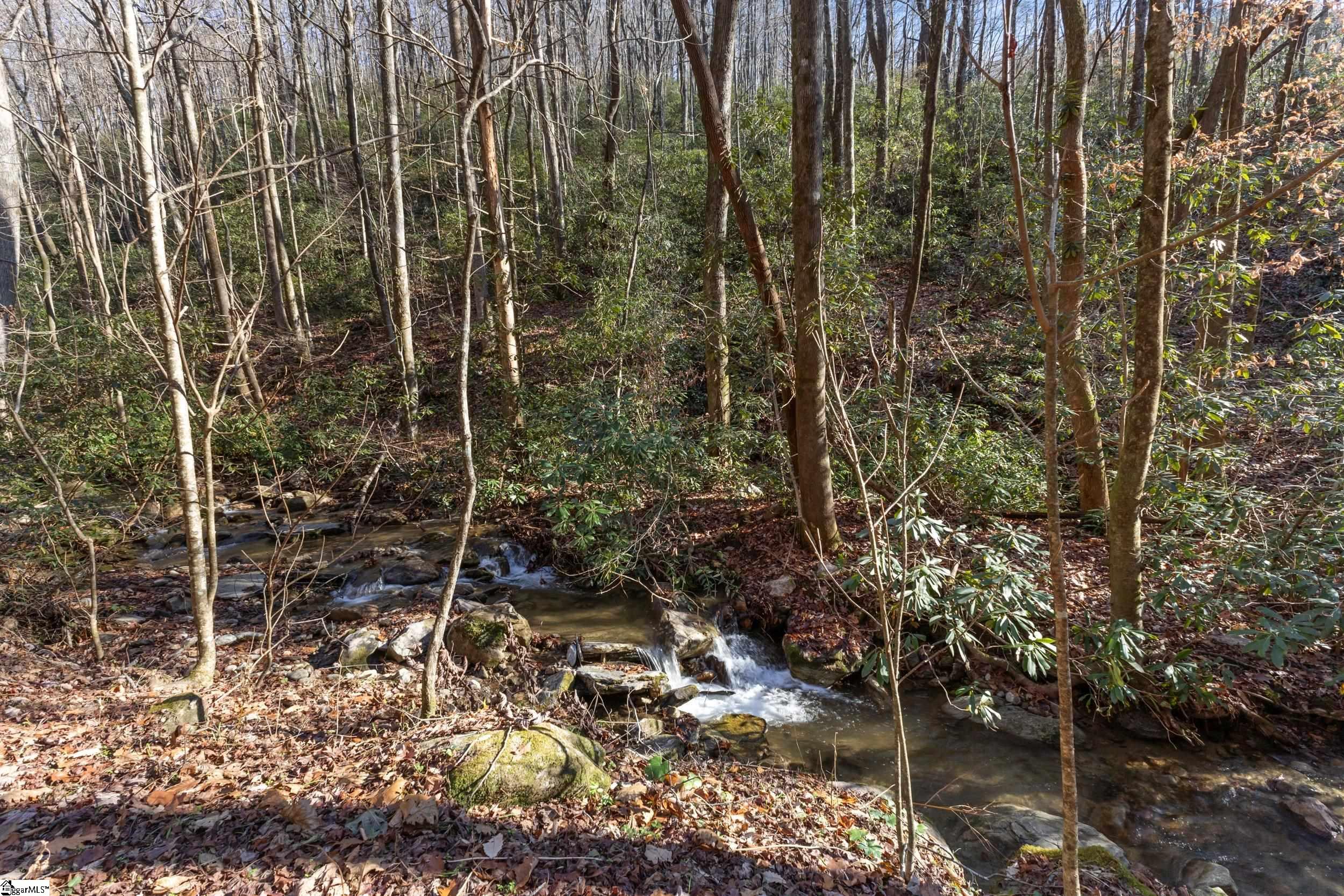 00 Panther Park Trail Property Photo 6