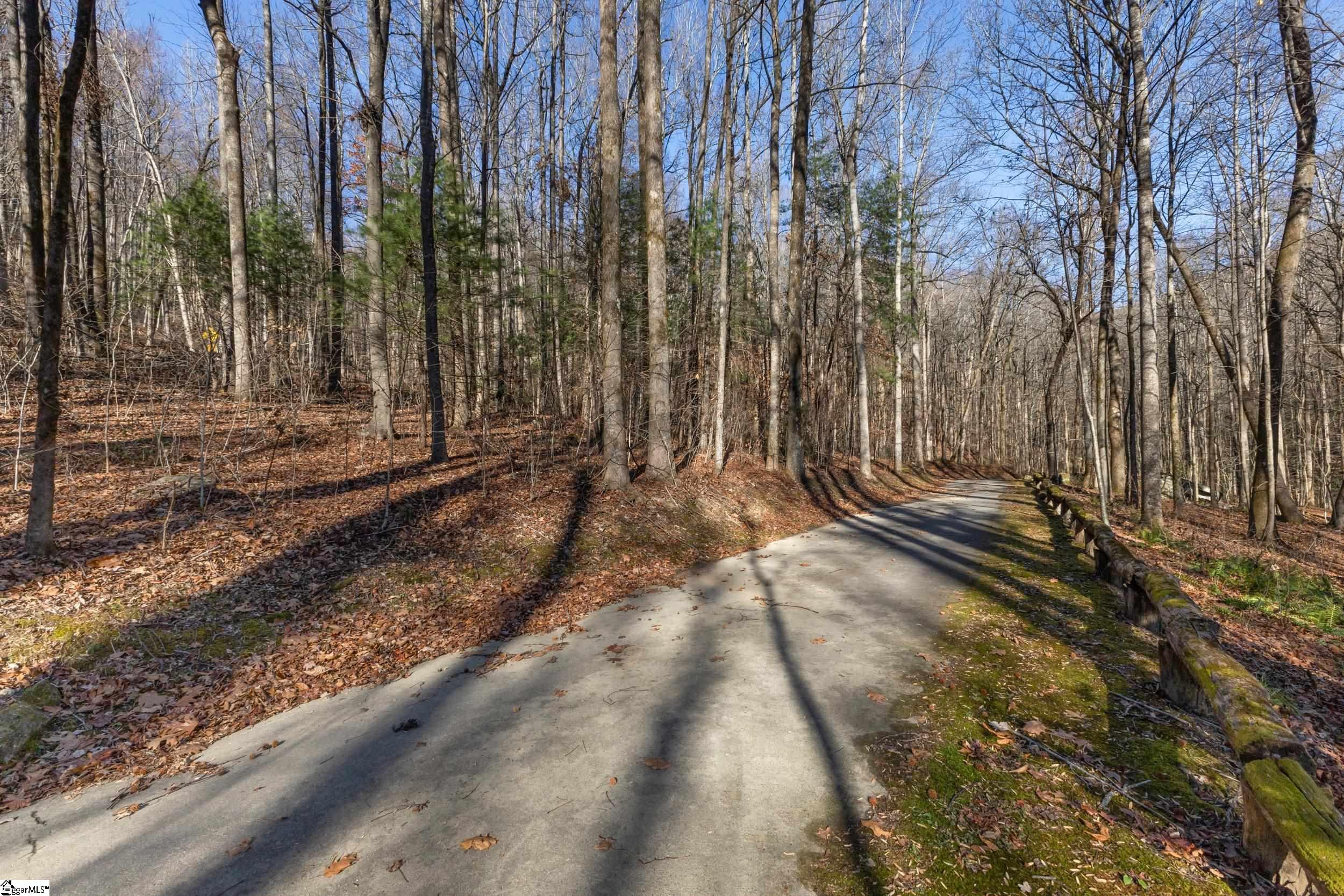00 Panther Park Trail Property Photo 21
