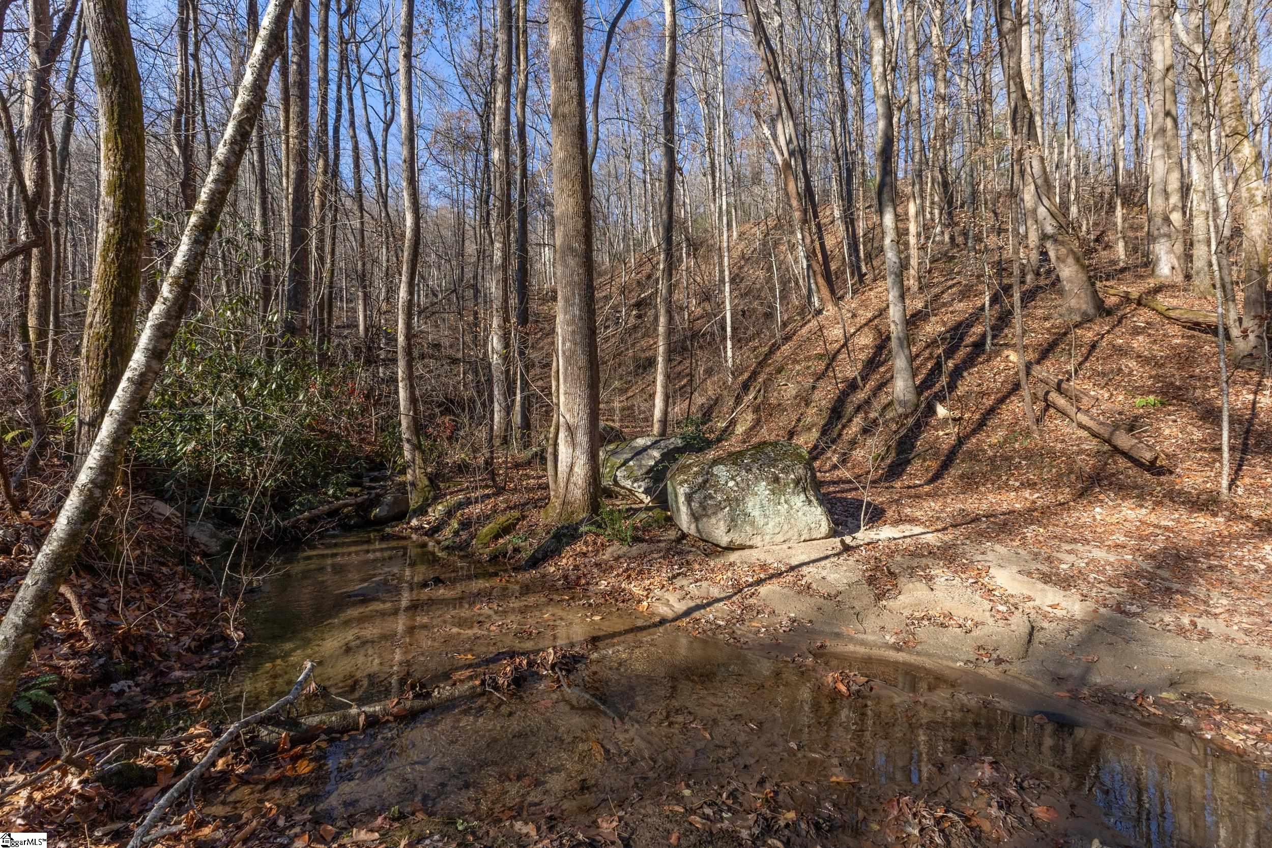 00 Panther Park Trail Property Photo 22