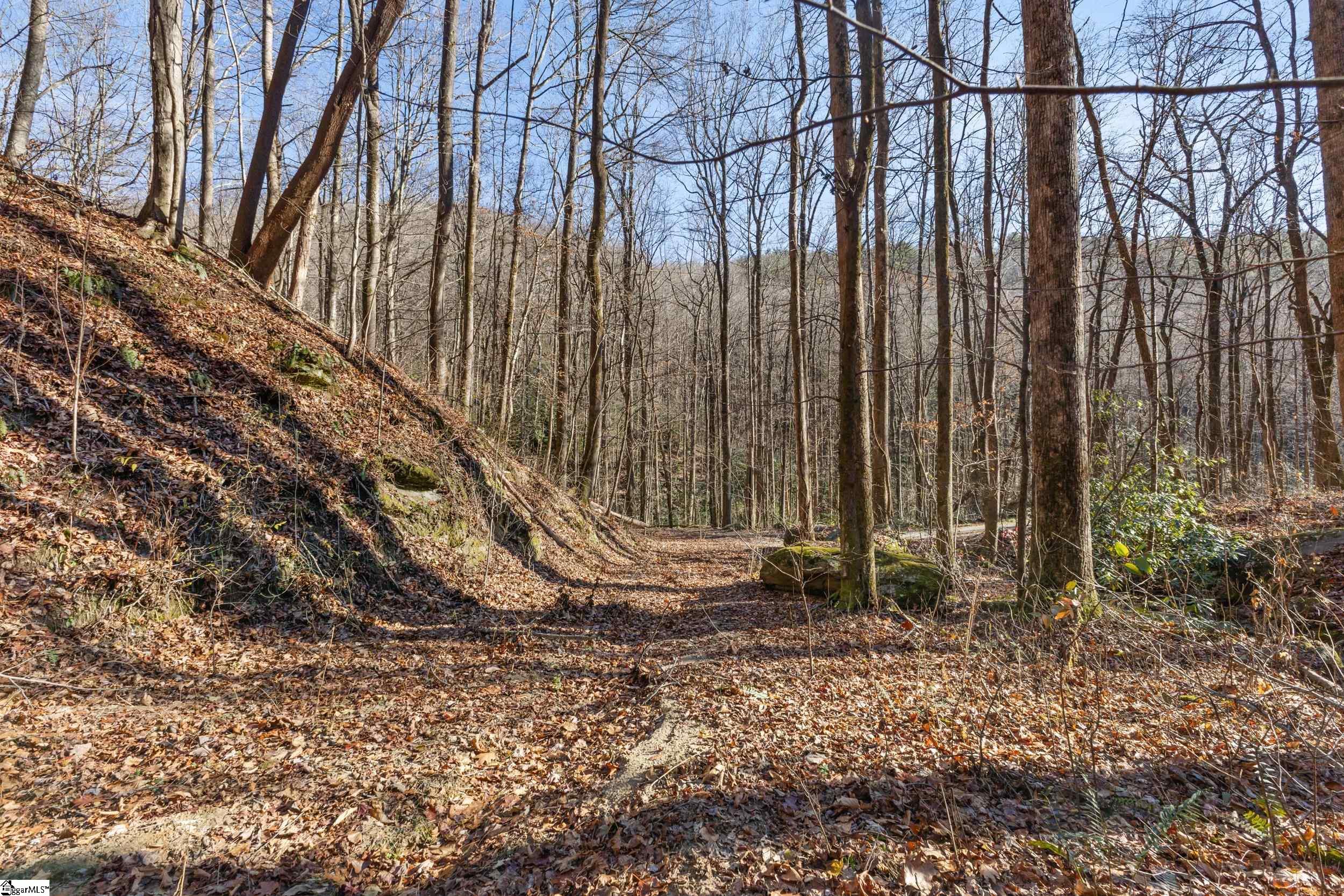 00 Panther Park Trail Property Photo 23
