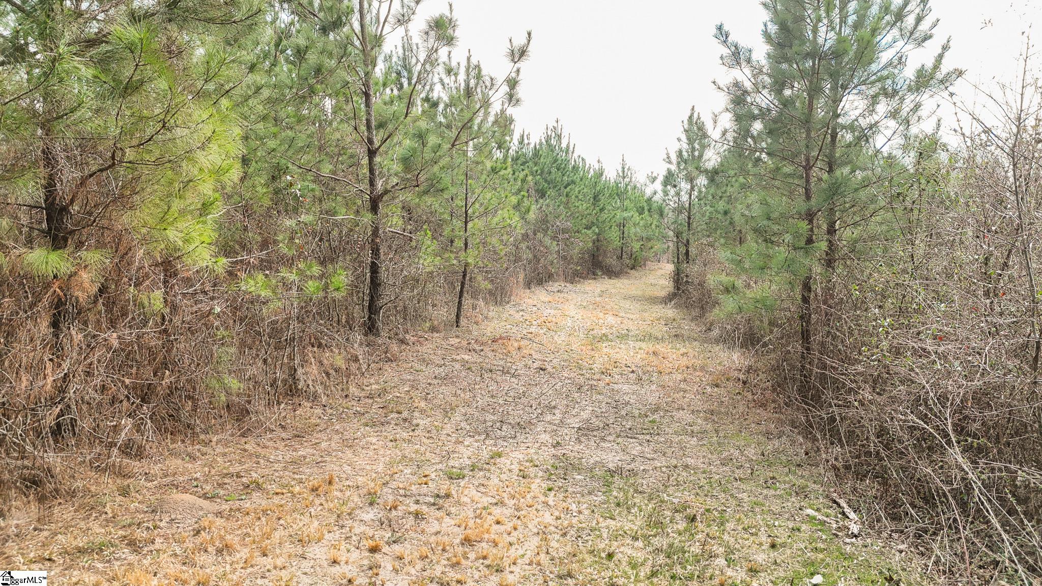 00 Lake Road Property Photo 4