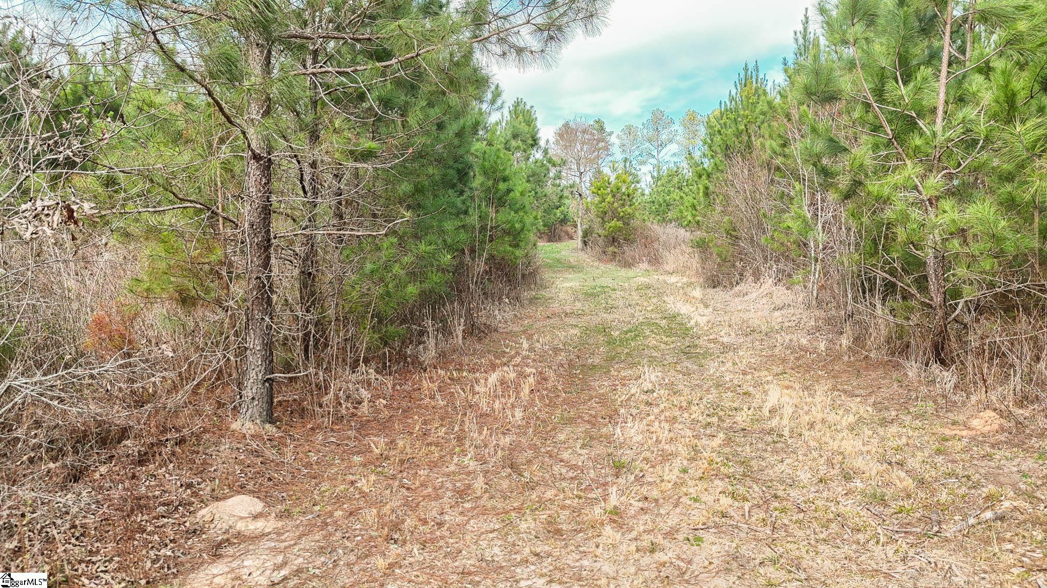 00 Lake Road Property Photo 5