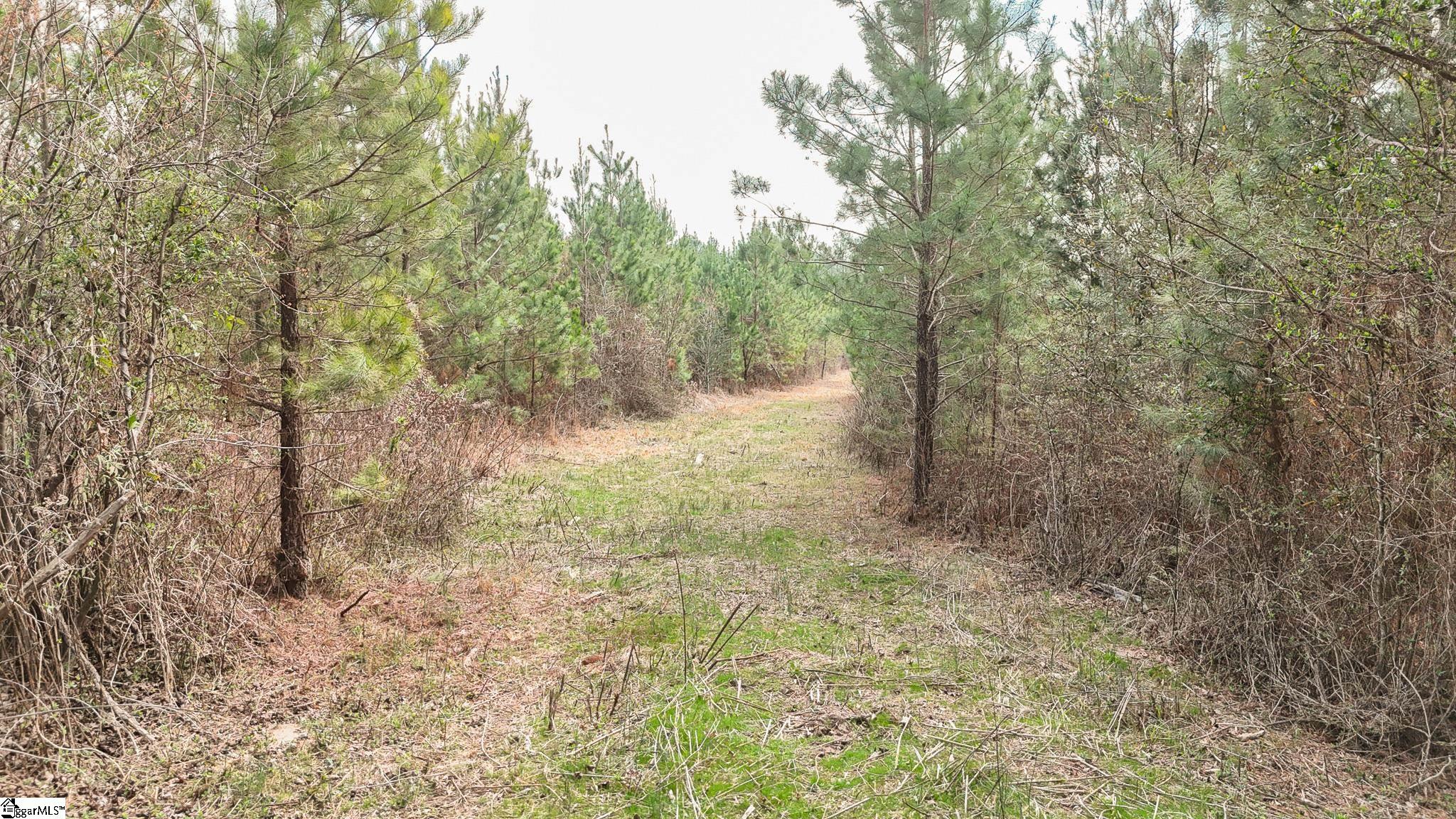 00 Lake Road Property Photo 6
