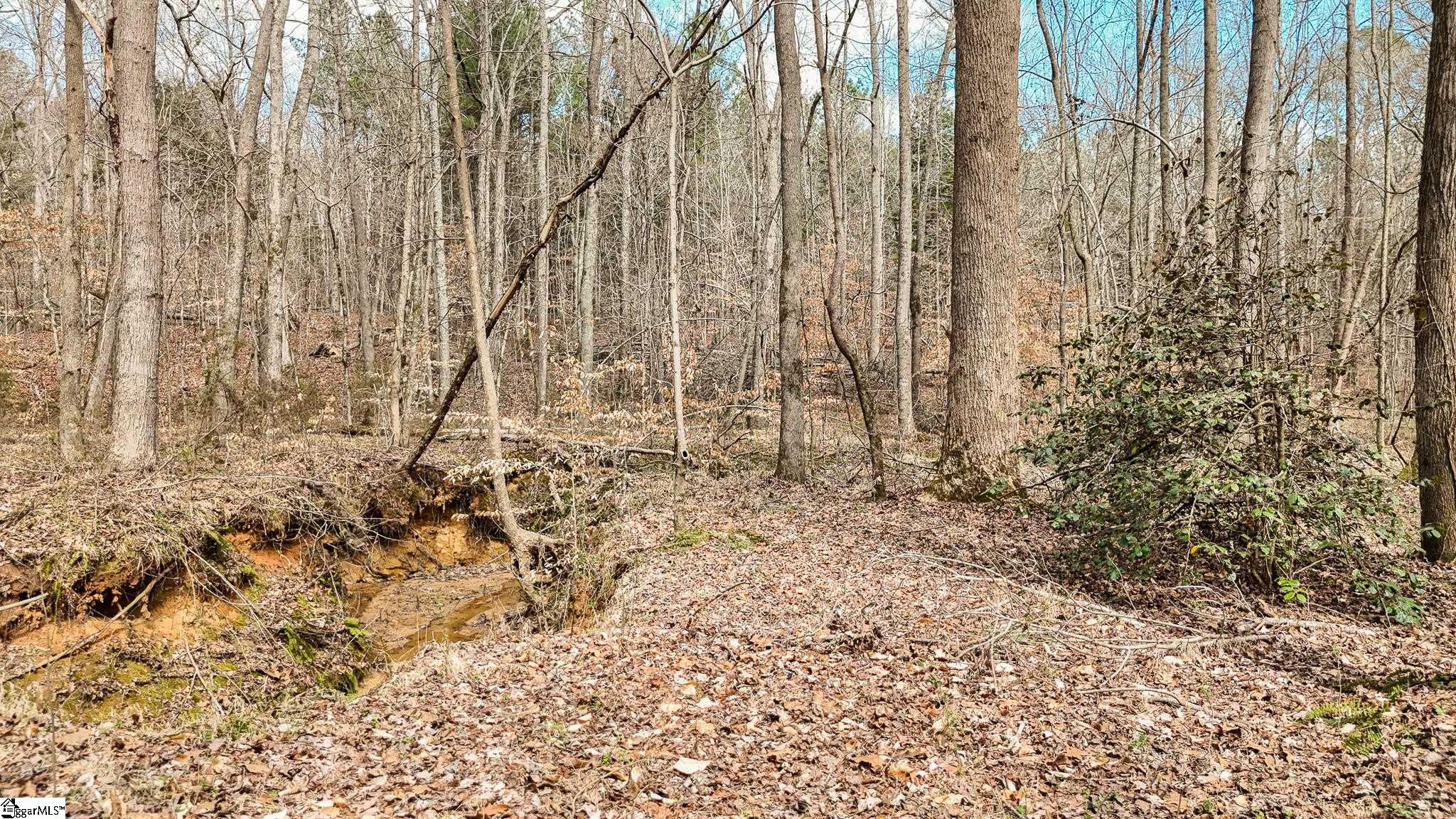 00 Lake Road Property Photo 14