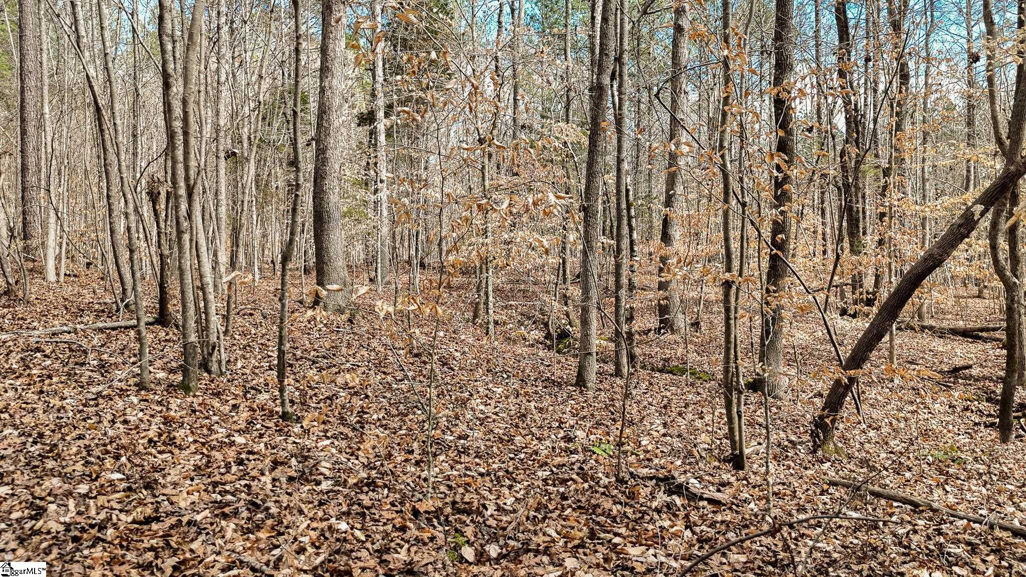 00 Lake Road Property Photo 16