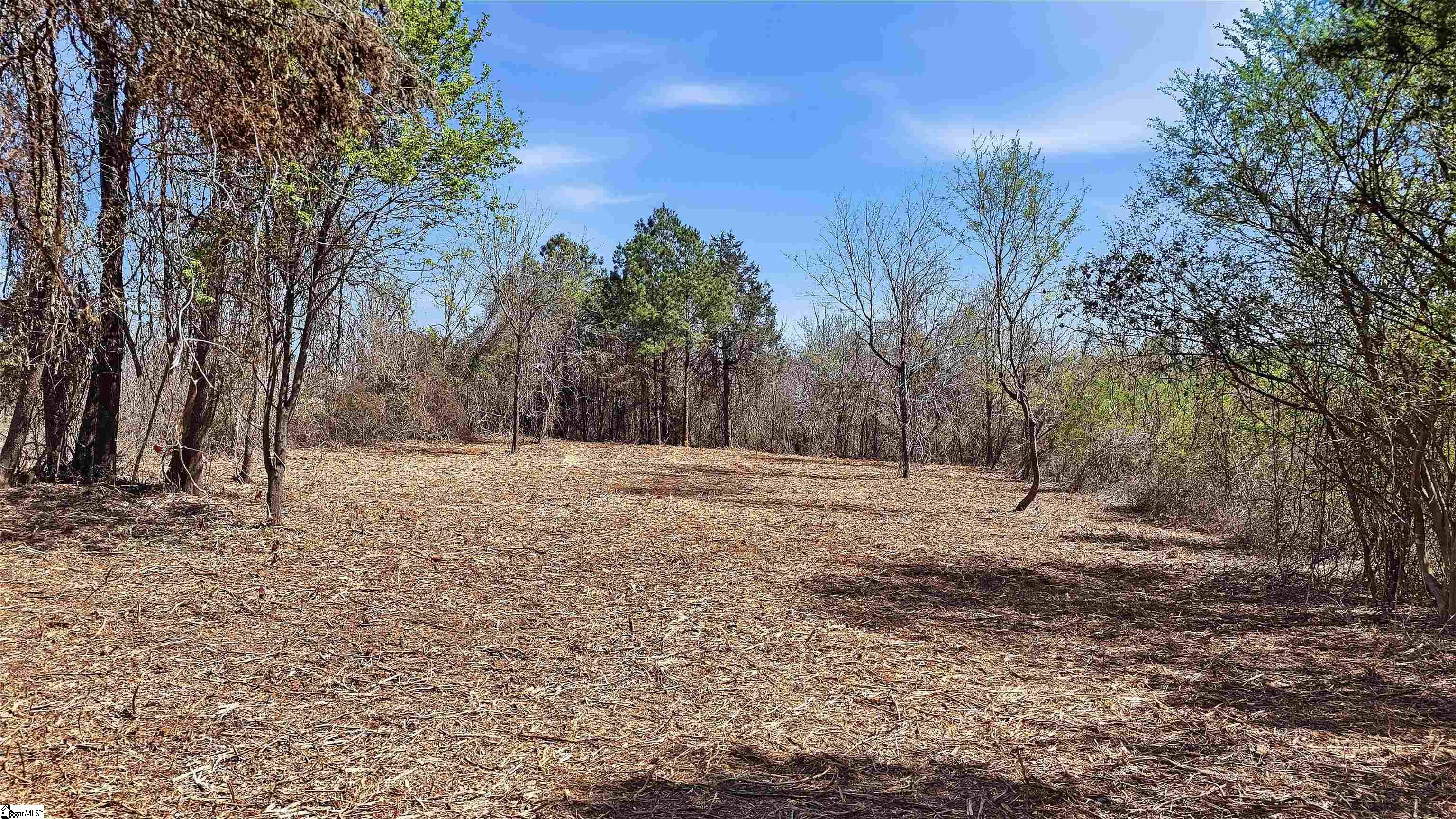 0 Cemetery Circle Property Photo 4