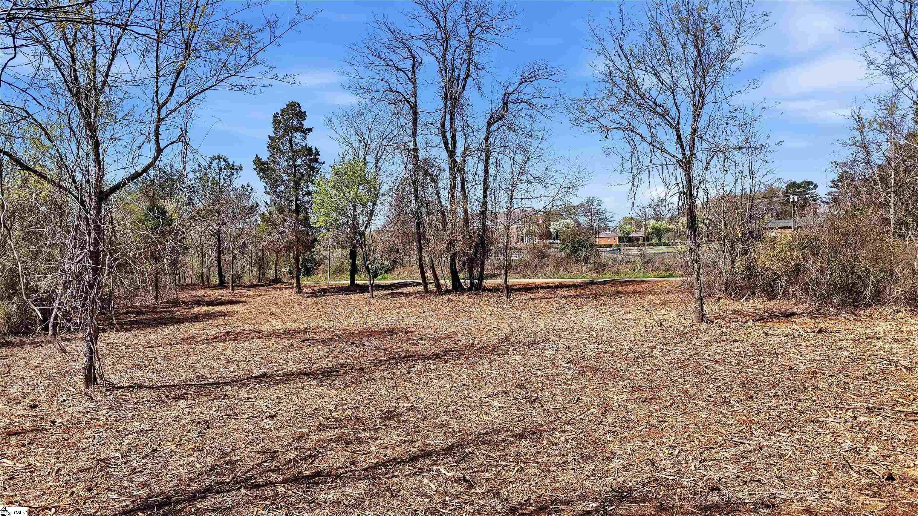 0 Cemetery Circle Property Photo 5
