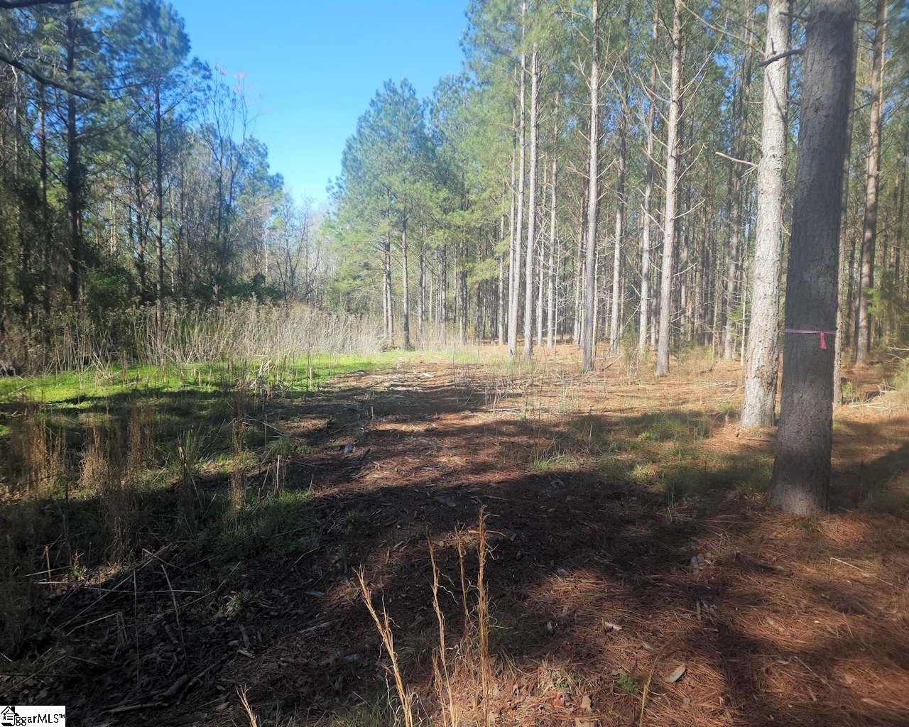 1585144 Property Photo 6