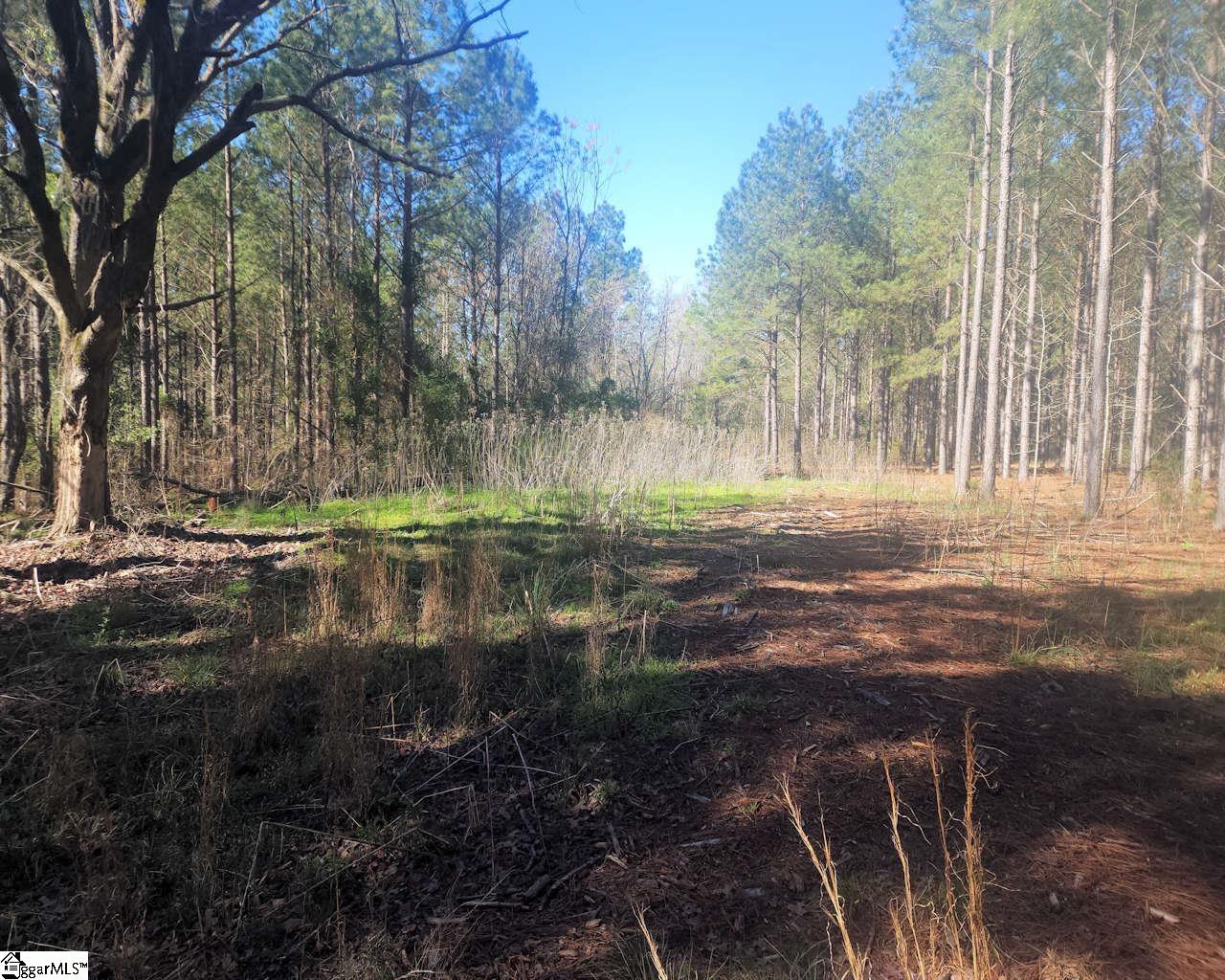 1585144 Property Photo 7
