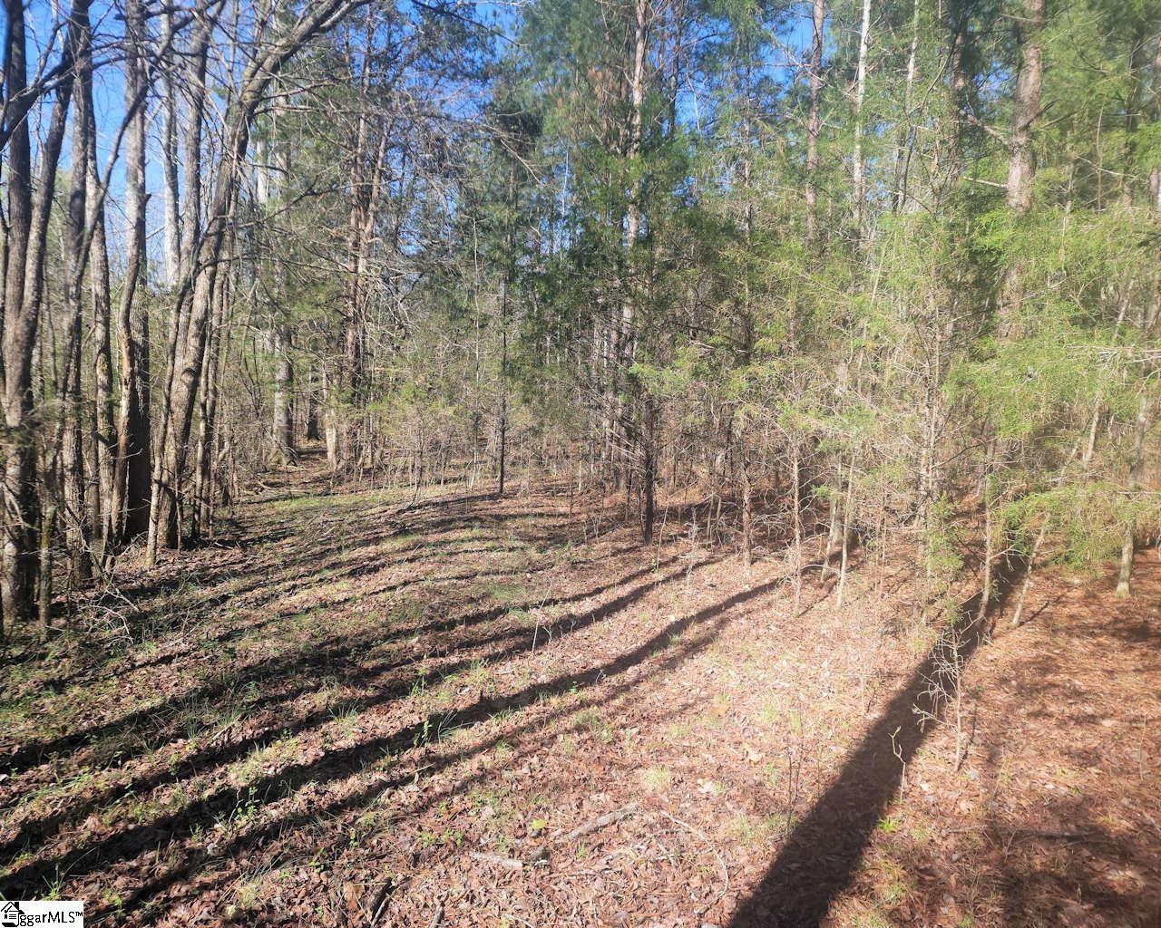 1585144 Property Photo 9