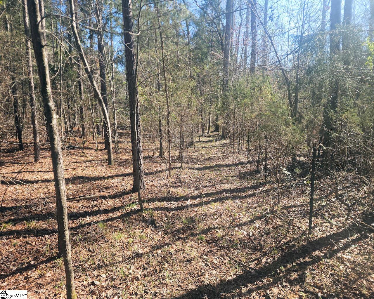 1585144 Property Photo 10