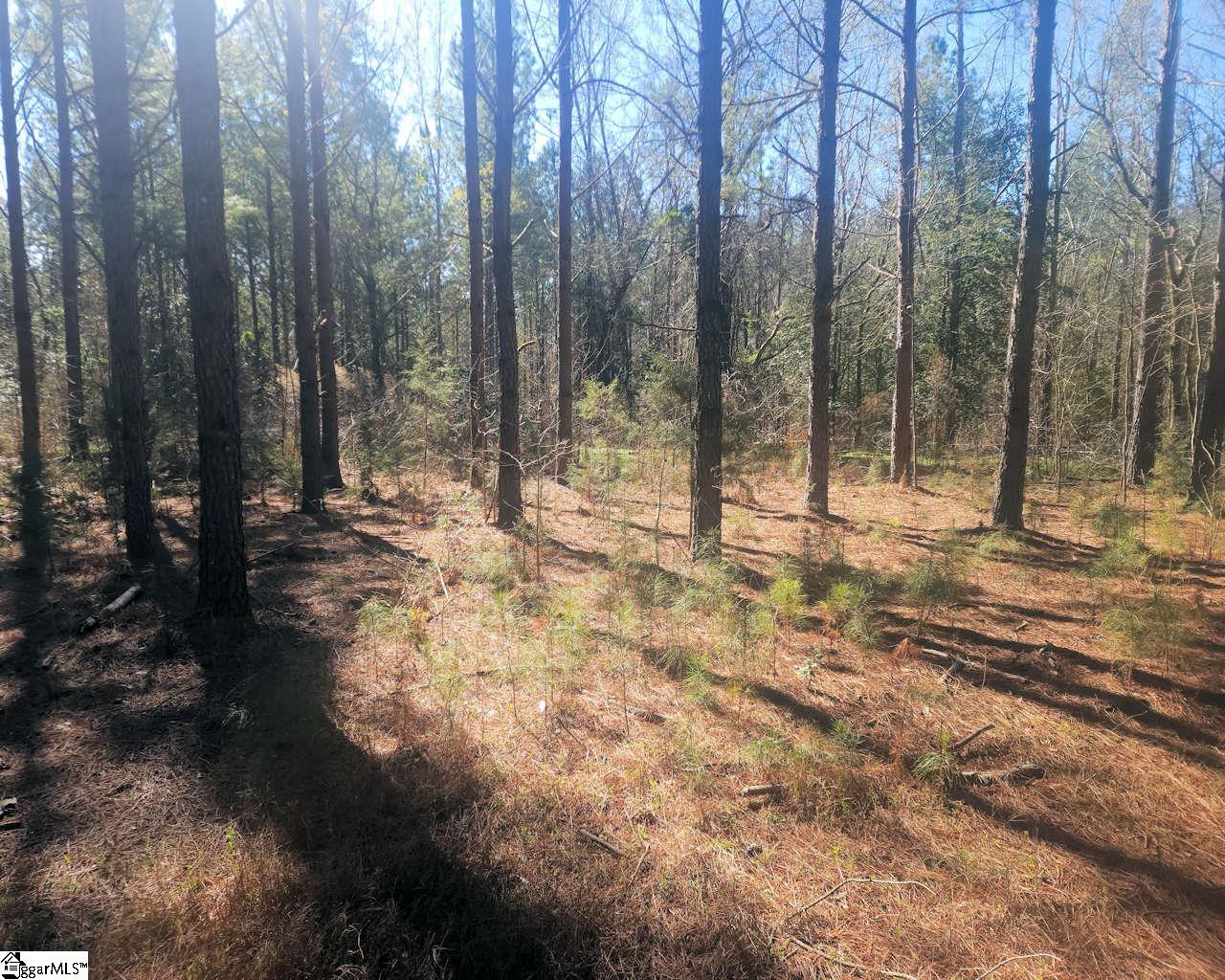 1585144 Property Photo 11