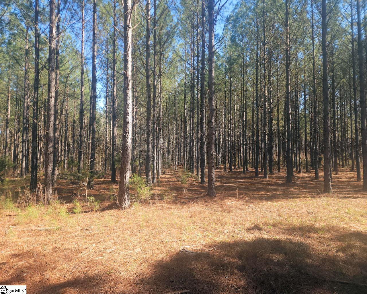 1585144 Property Photo 13