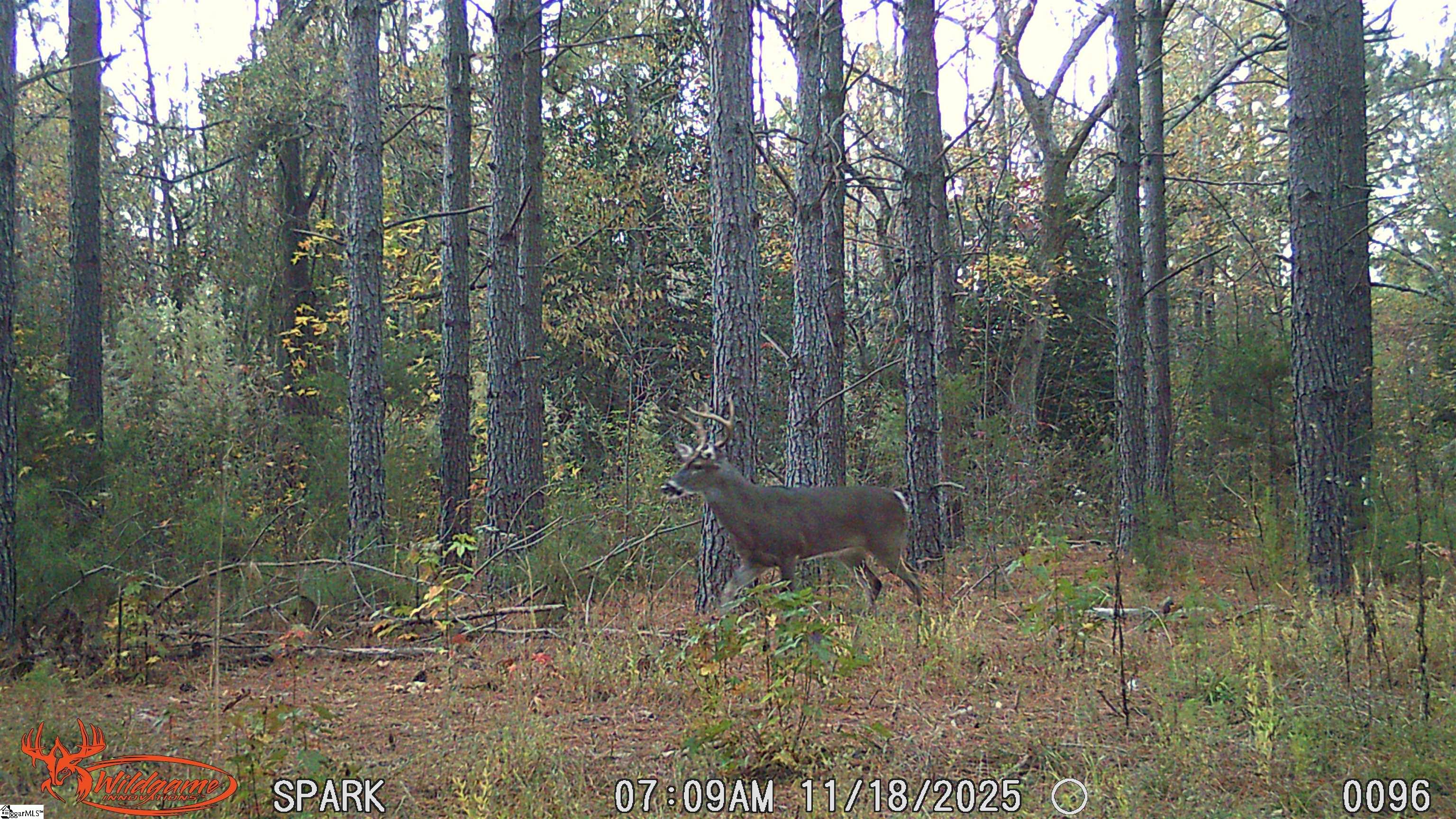 1585144 Property Photo 19