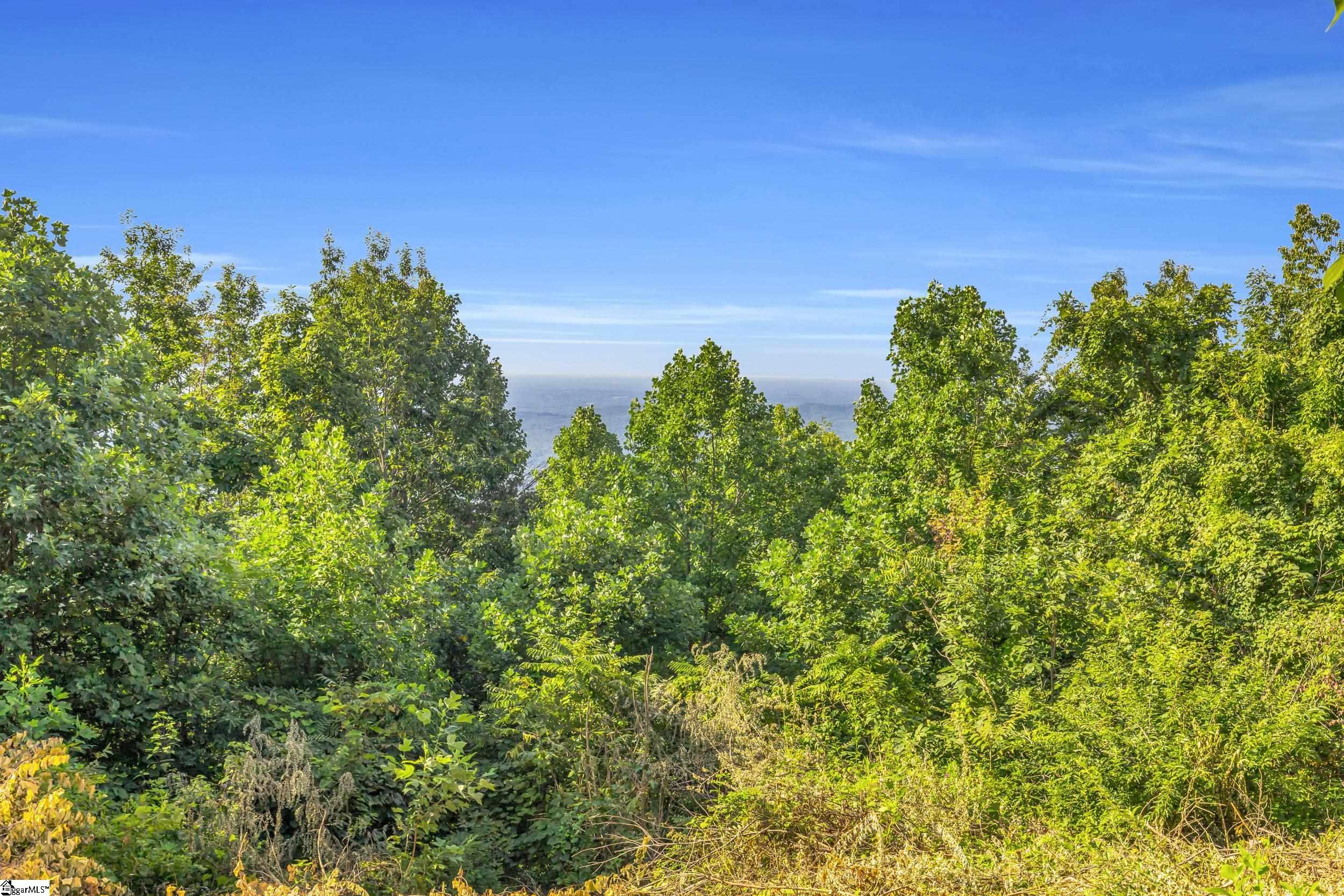 3605 Skyuka Mountain Road Property Photo 30