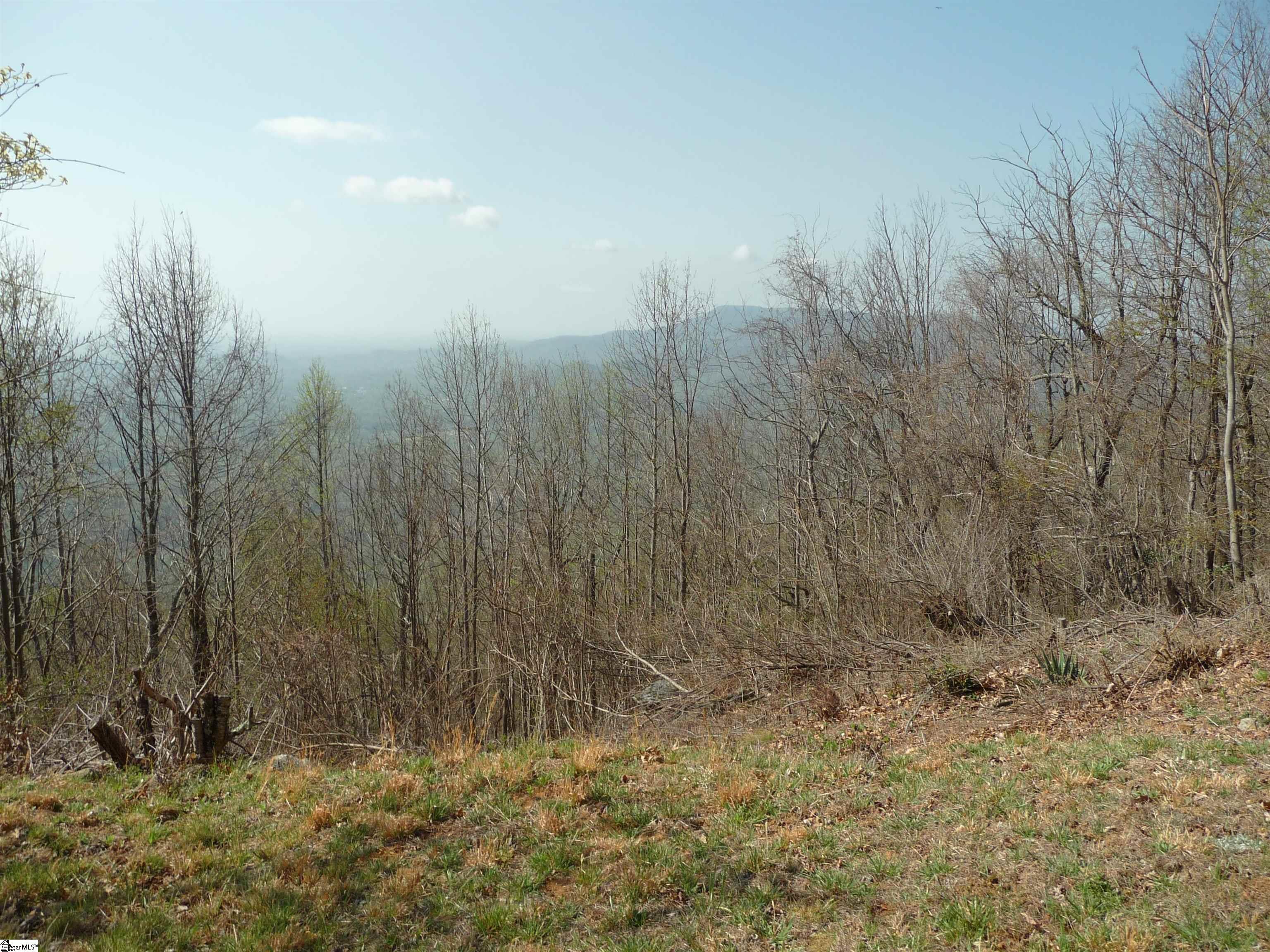 3605 Skyuka Mountain Road Property Photo 49