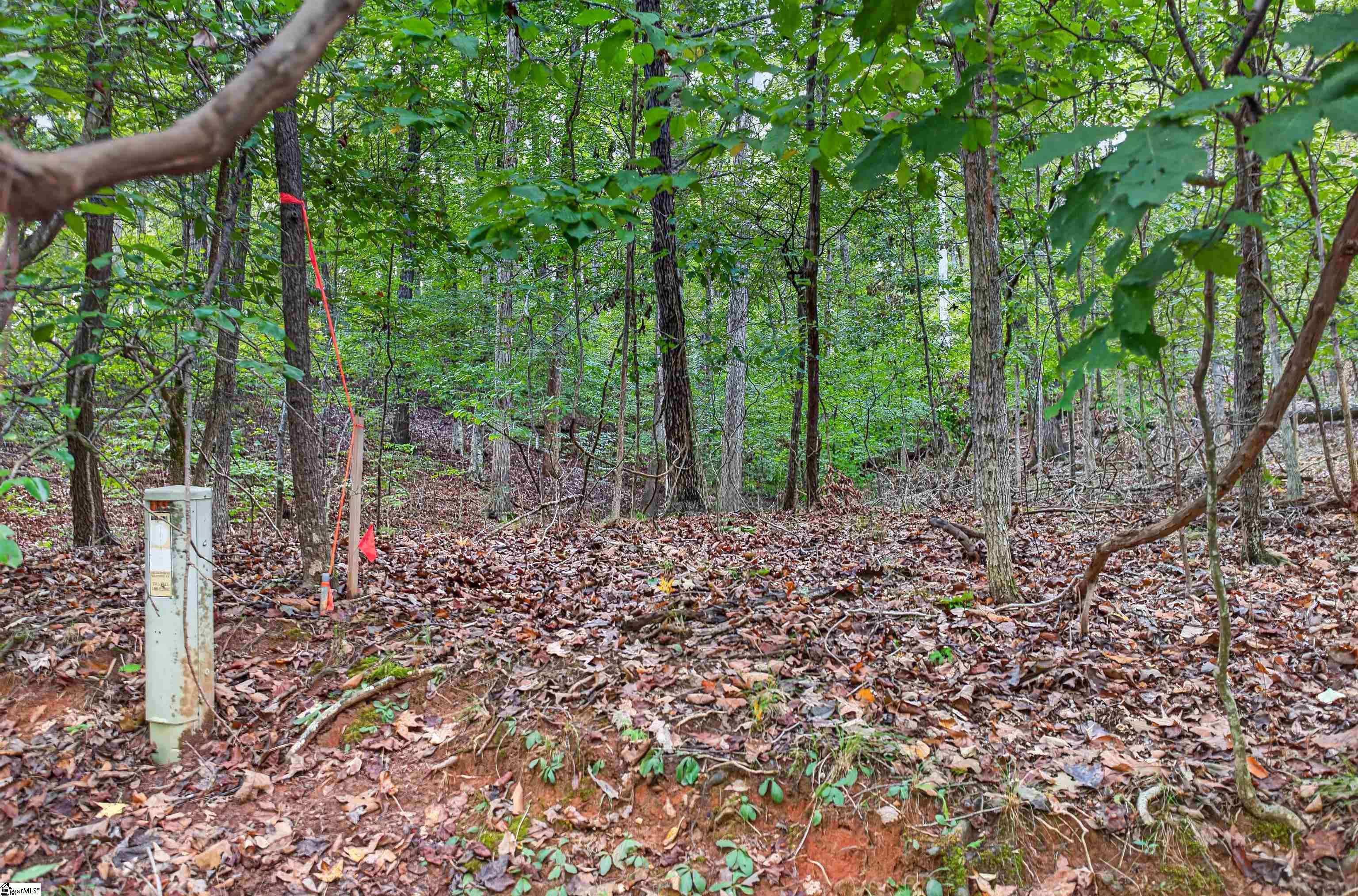 Lot 658 S Sundew Drive Property Photo 3
