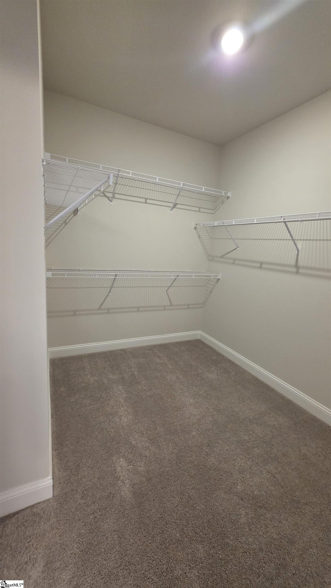 241 Holly Branch Road Property Photo 14