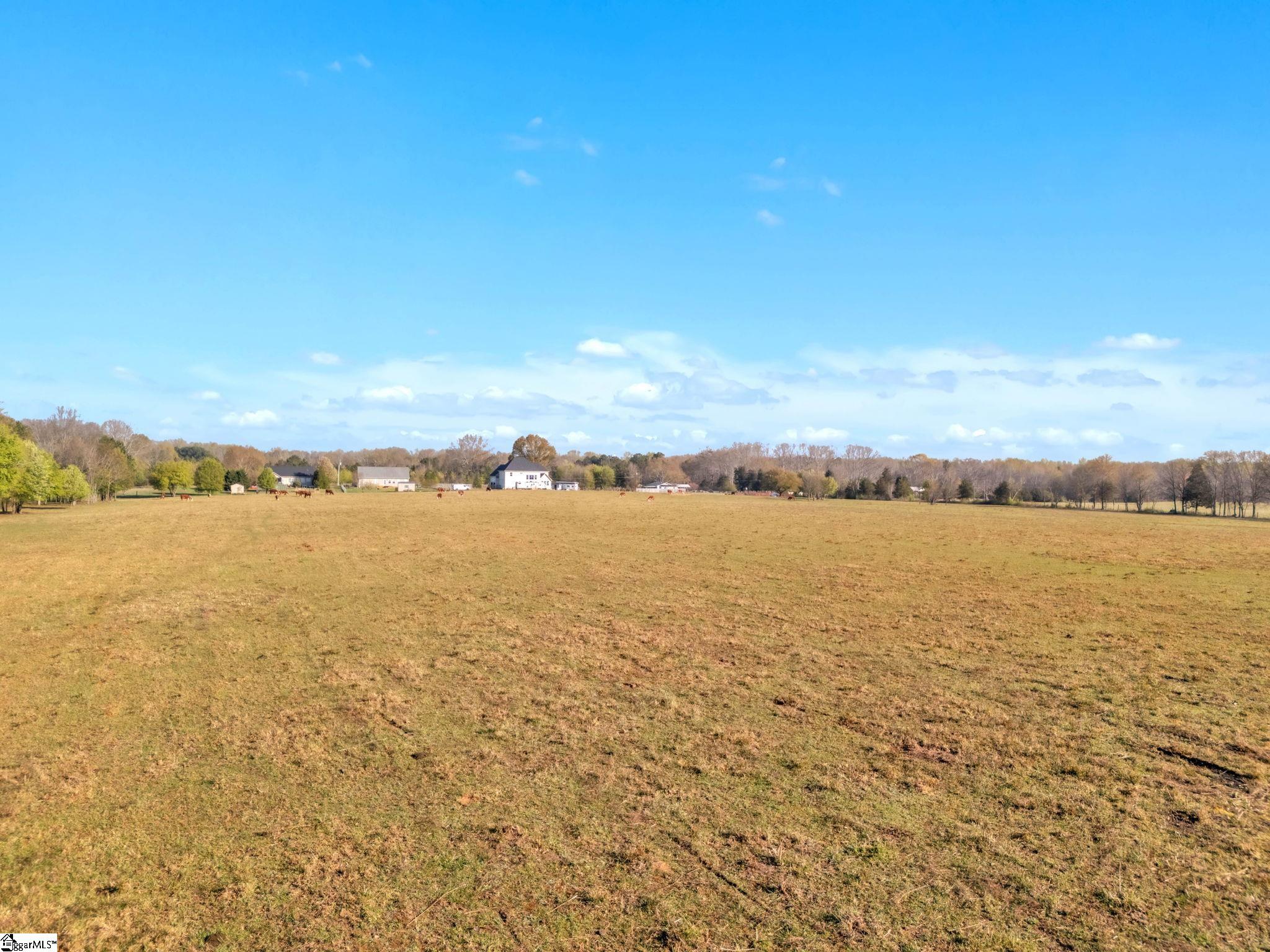 1585647 Property Photo 3