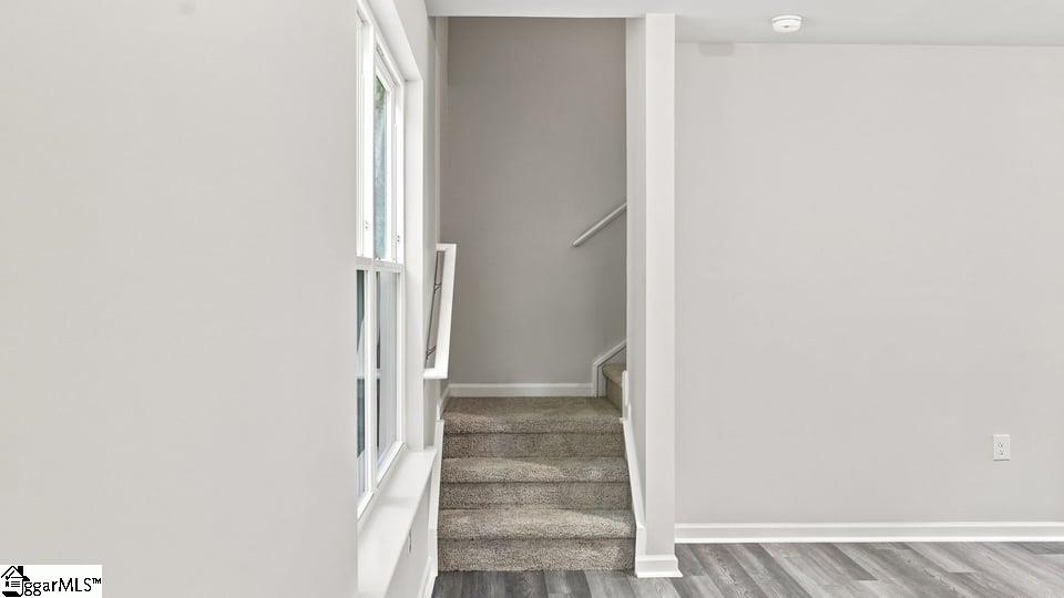141 Hawk Ridge Road Property Photo 19