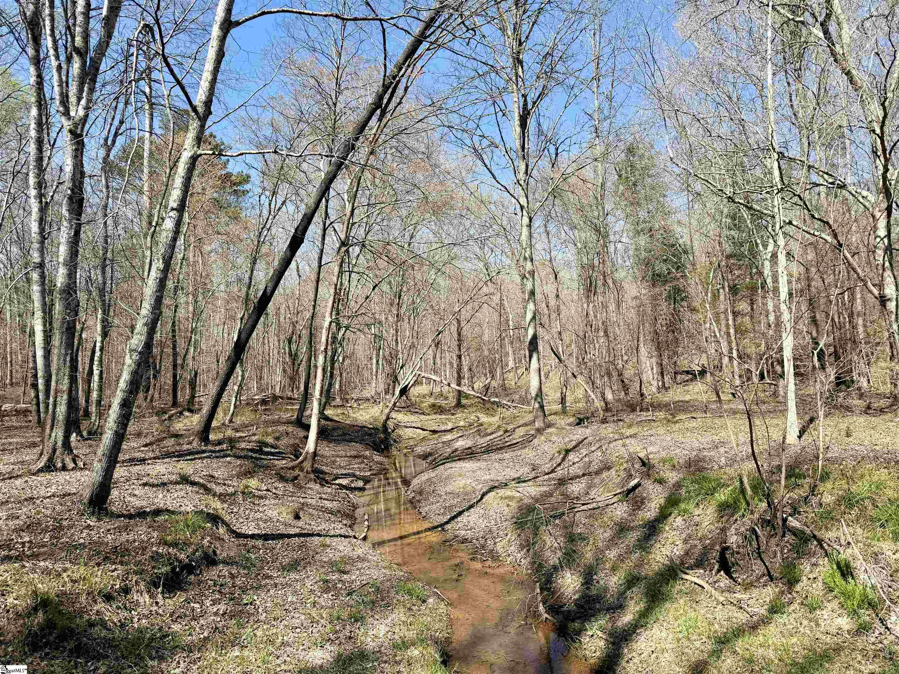 0 Highway 28 Property Photo 4