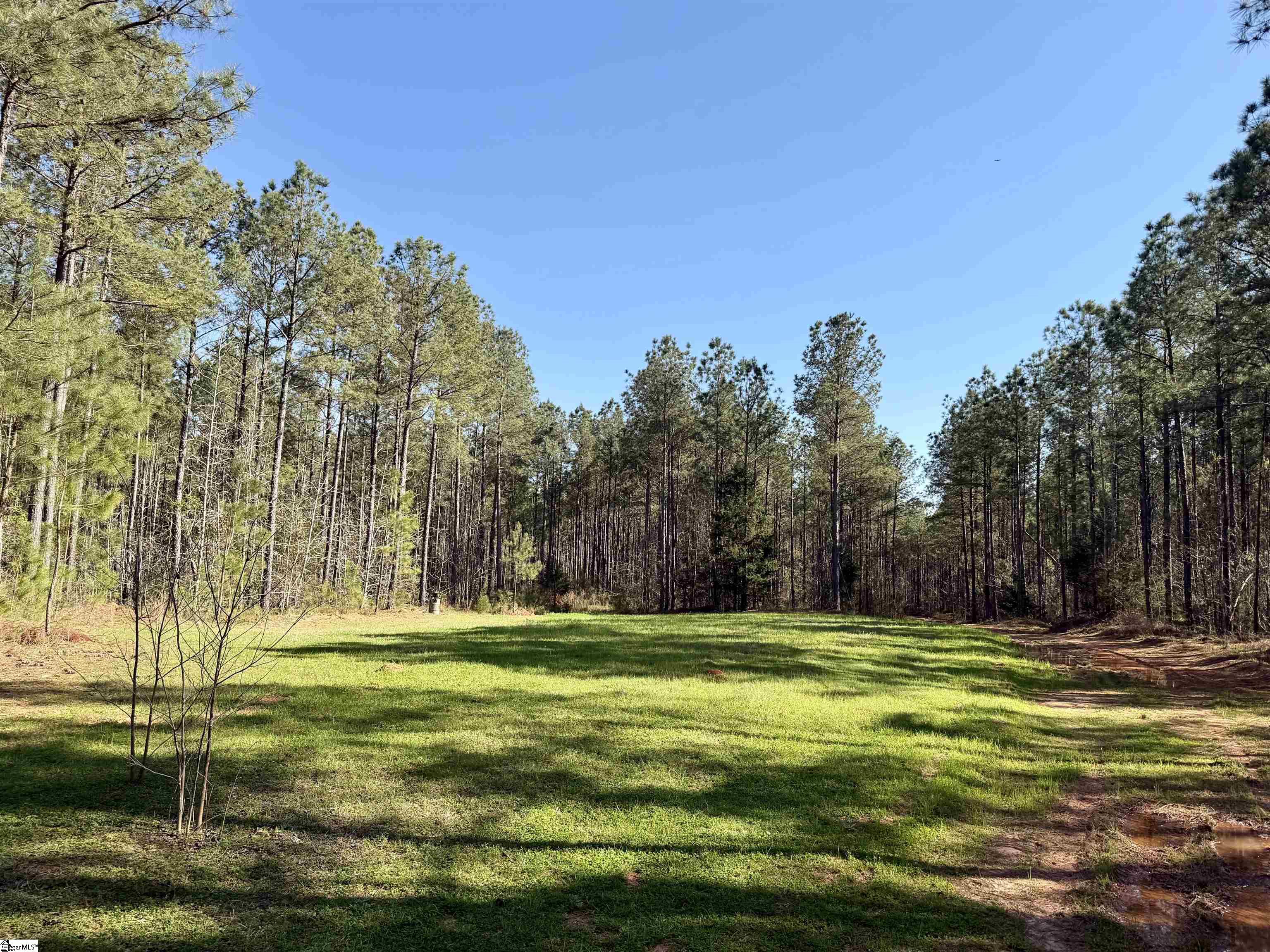 0 Highway 28 Property Photo 6