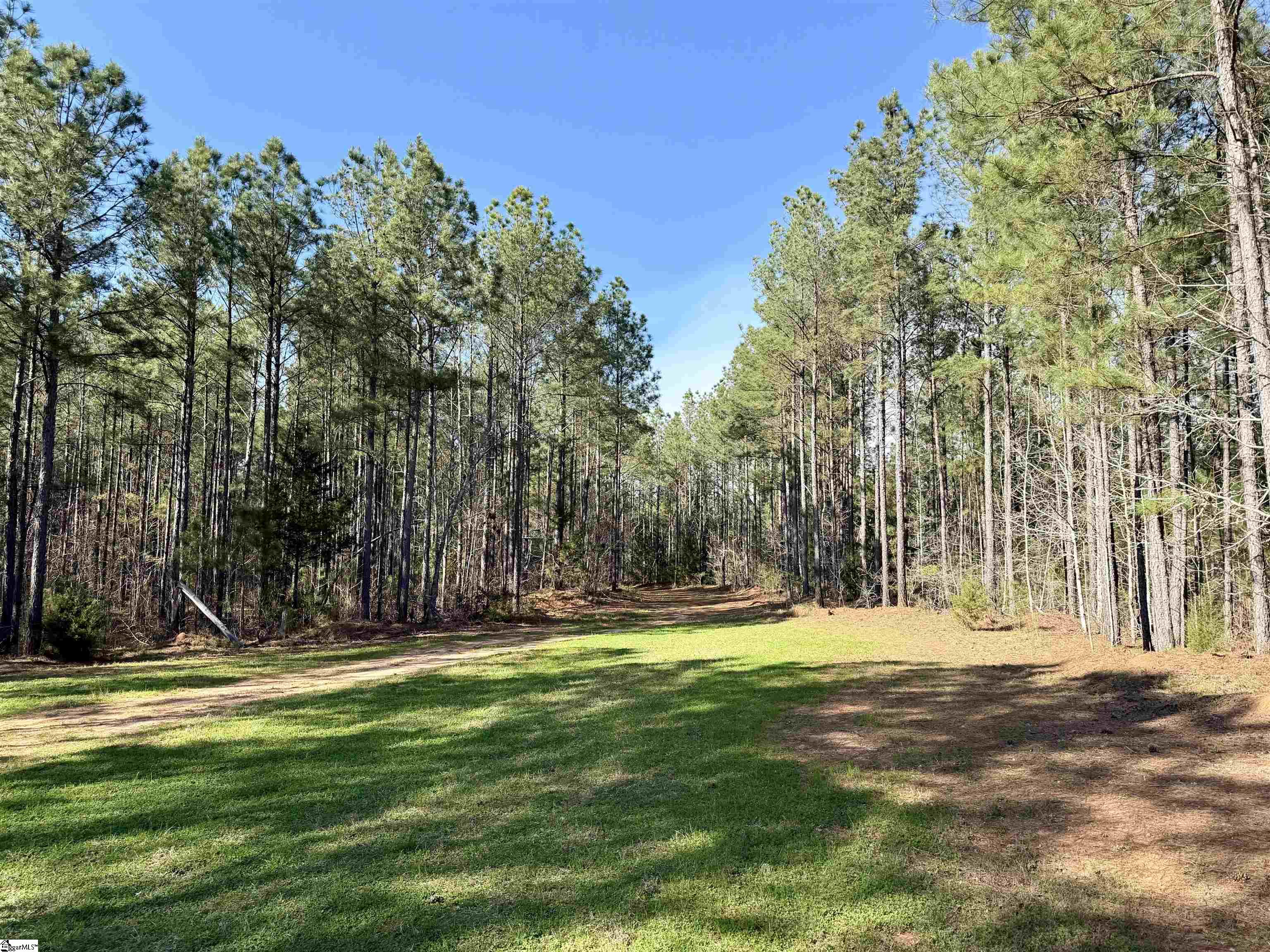 0 Highway 28 Property Photo 7