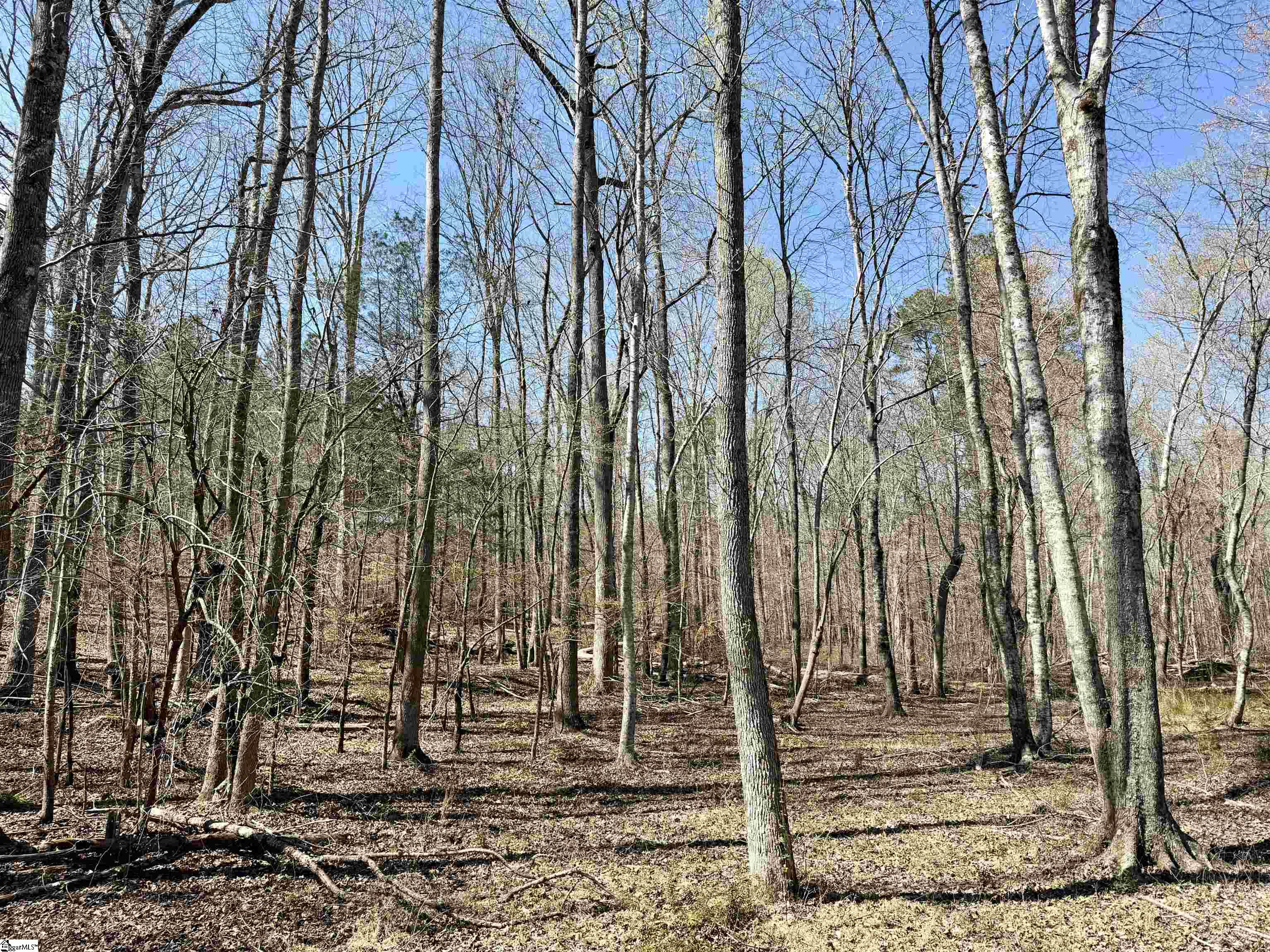 0 Highway 28 Property Photo 10
