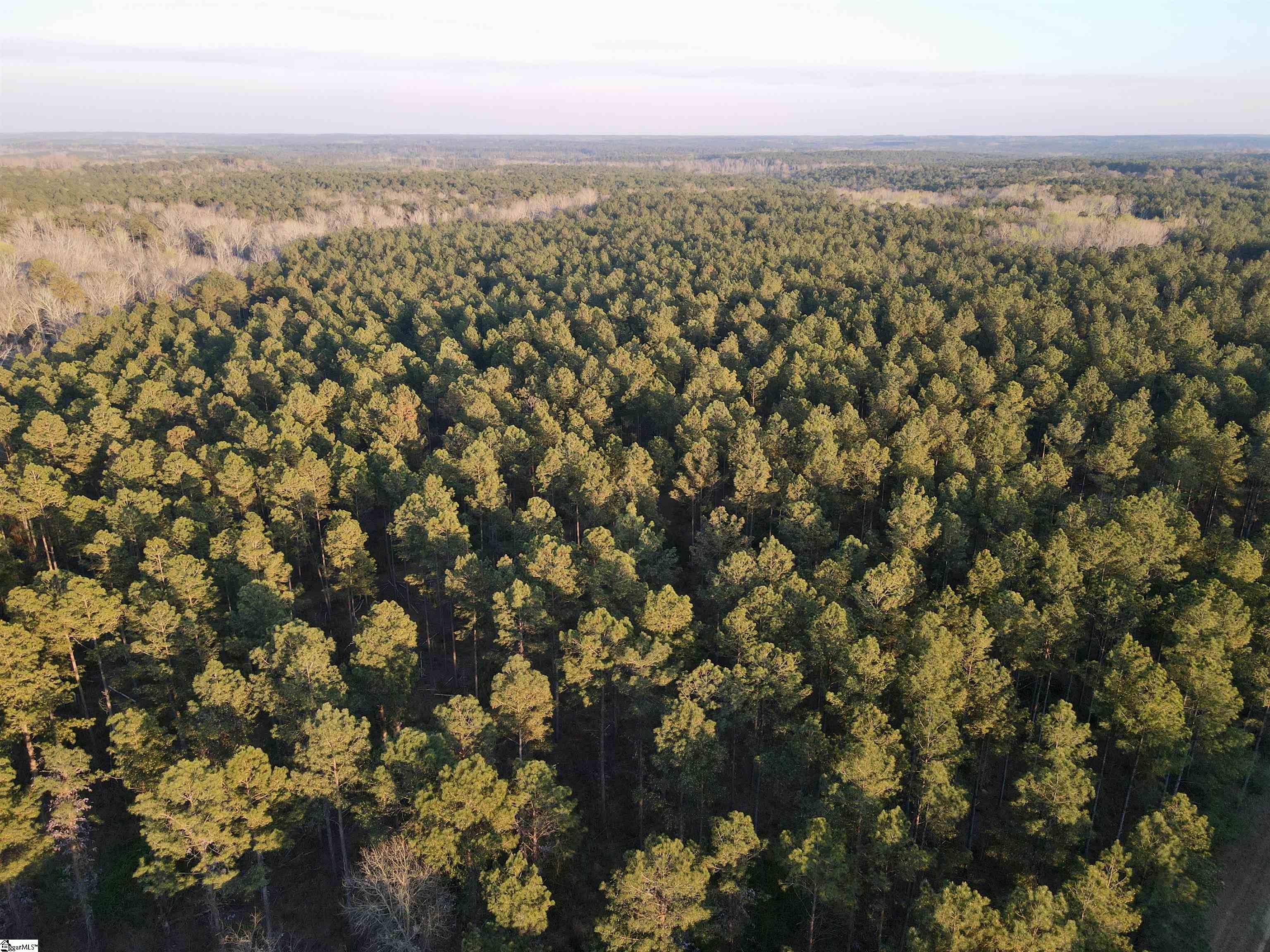 0 Highway 28 Property Photo 11