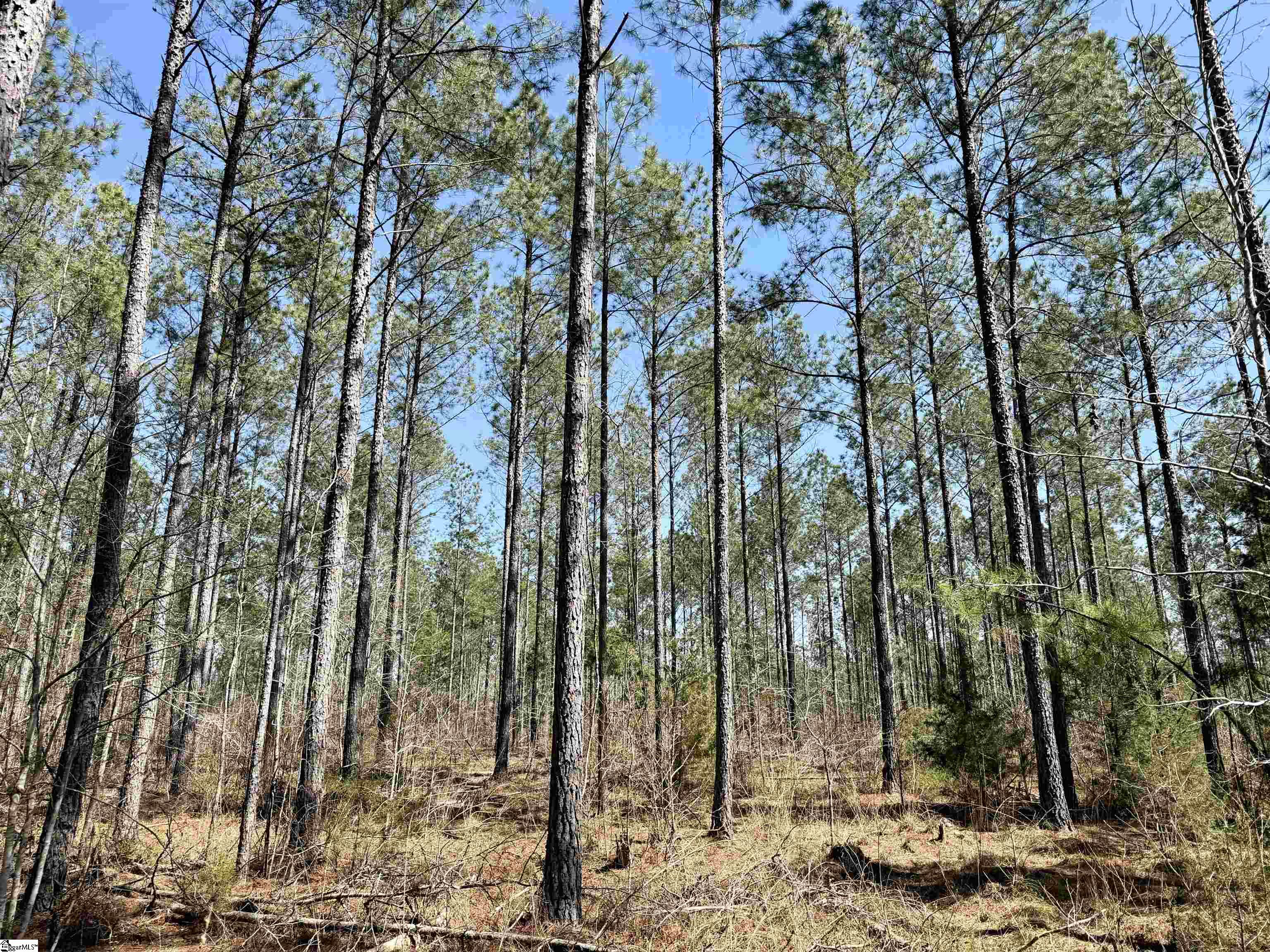 0 Highway 28 Property Photo 12