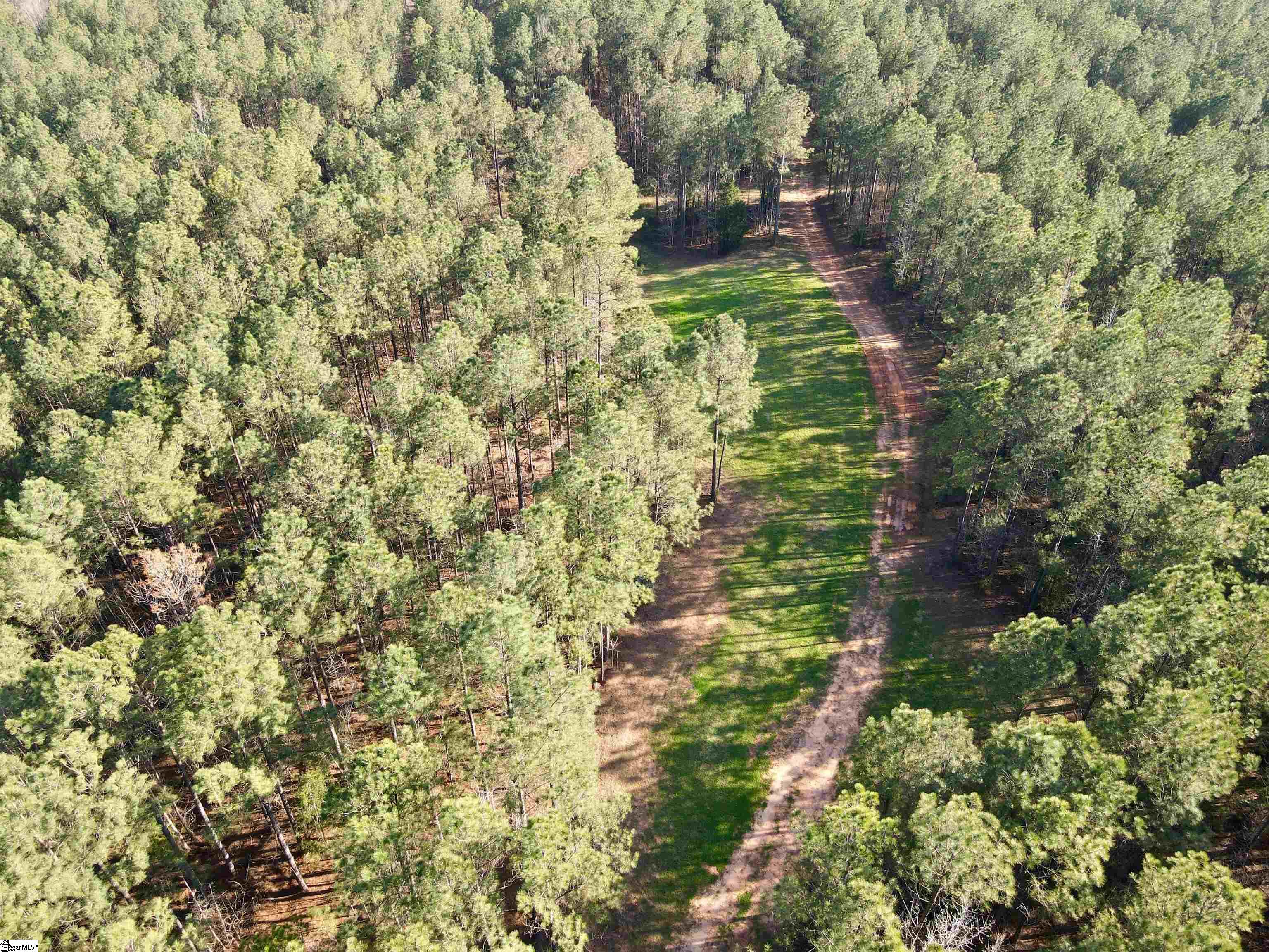 0 Highway 28 Property Photo 19